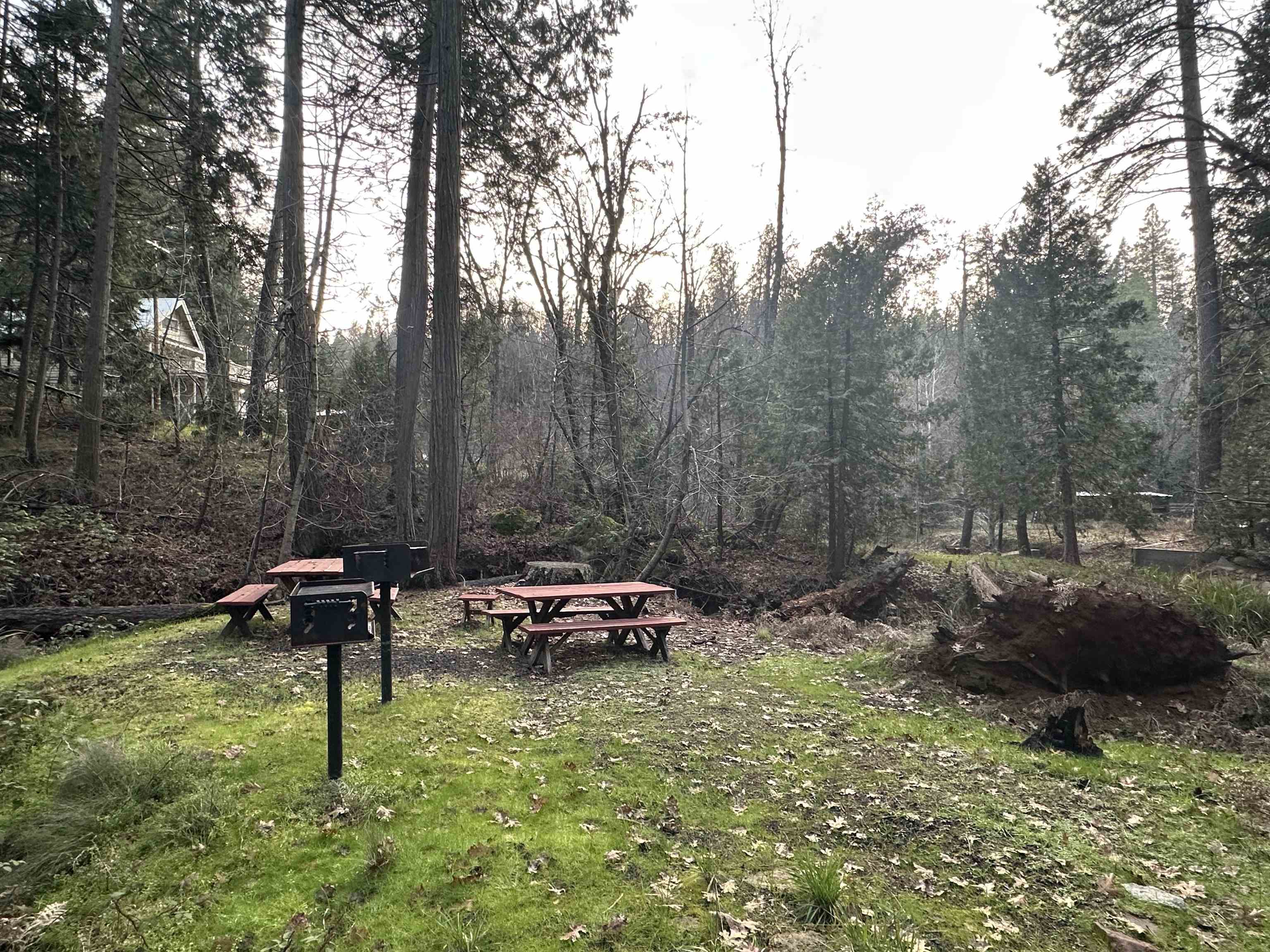 Detail Gallery Image 5 of 8 For 22895 S Fork Rd., Twain Harte,  CA 95383 - – Beds | – Baths