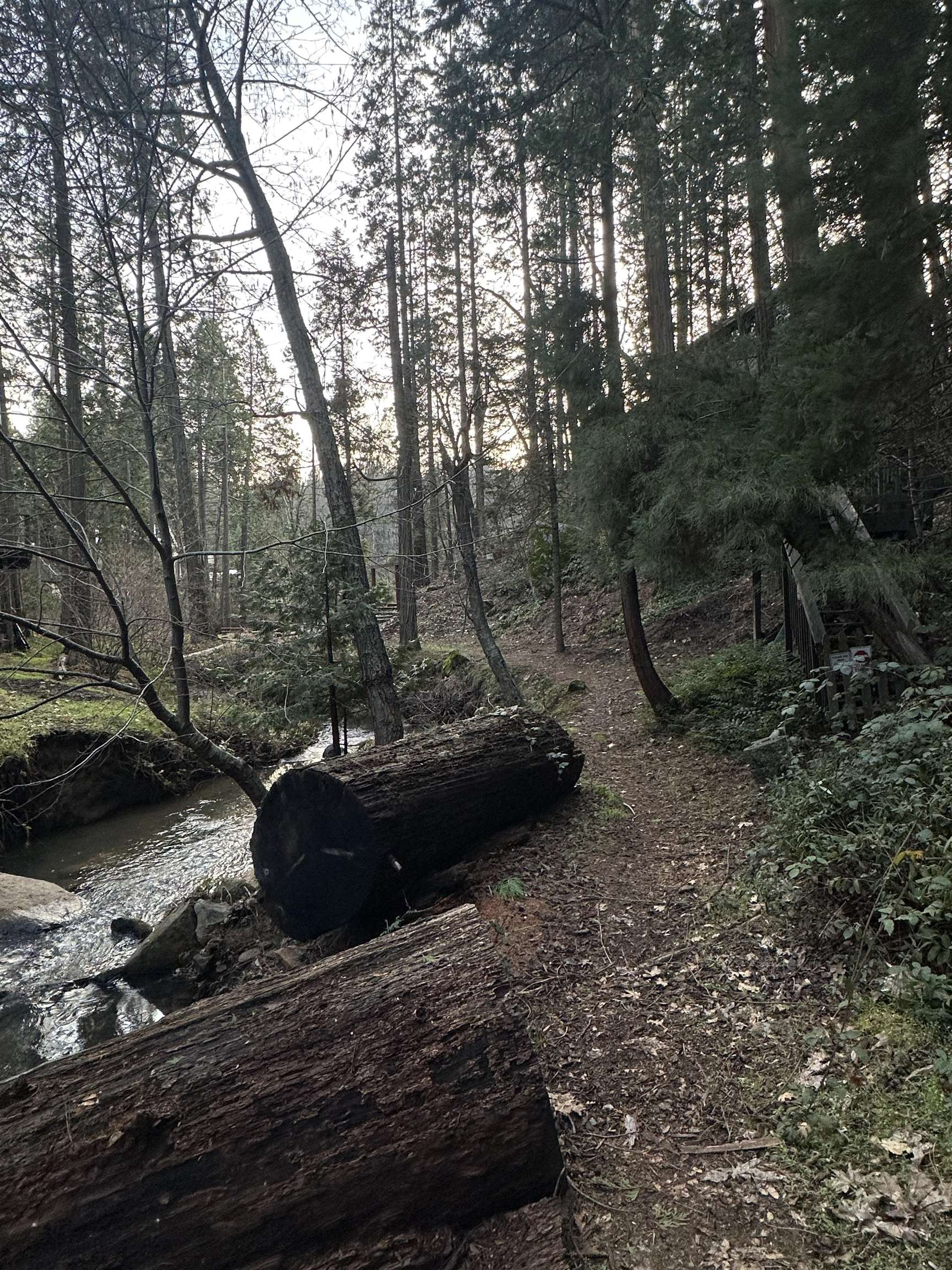 Detail Gallery Image 7 of 8 For 22895 S Fork Rd., Twain Harte,  CA 95383 - – Beds | – Baths