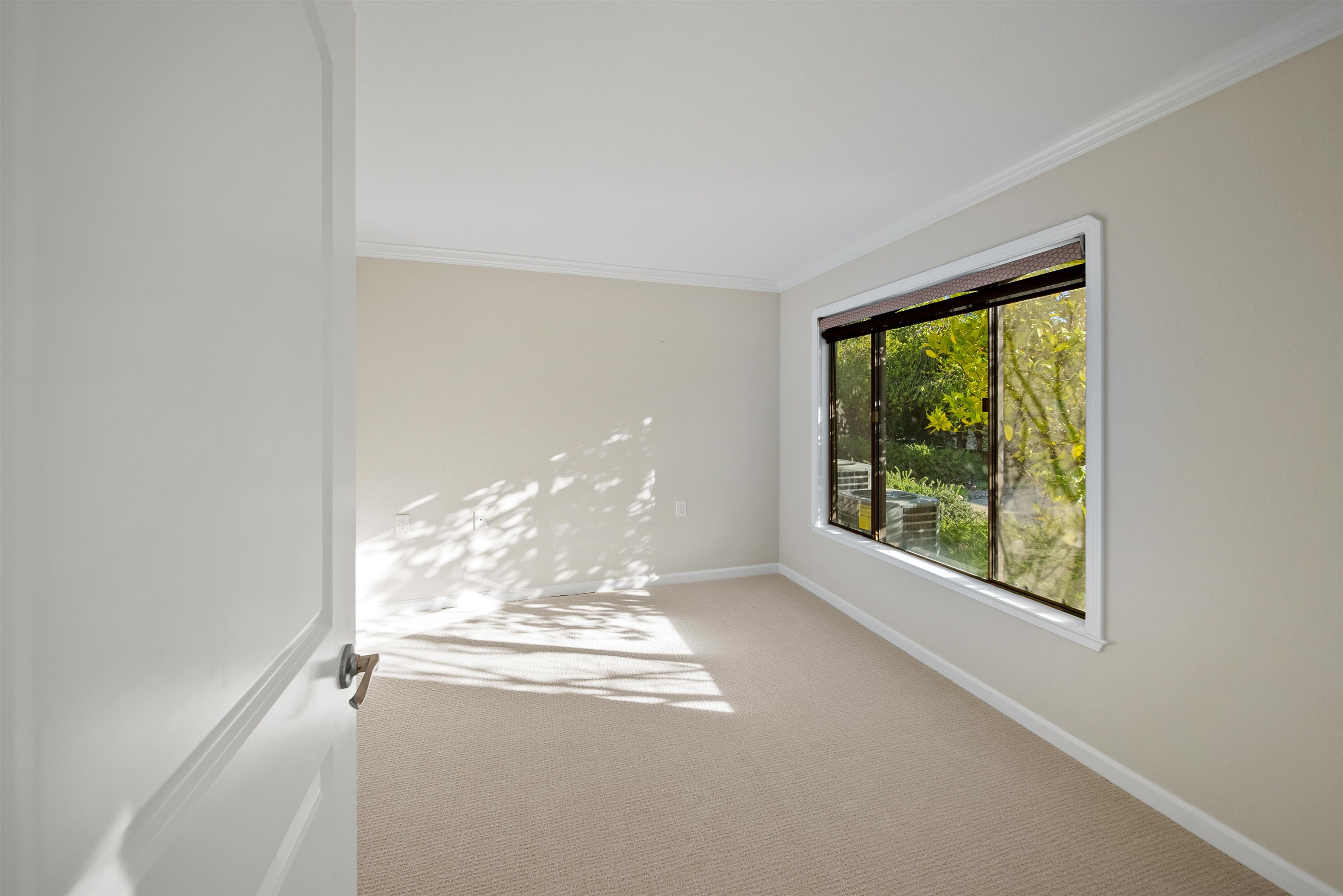 Photo #15: 41120597 Listing: Photo #15