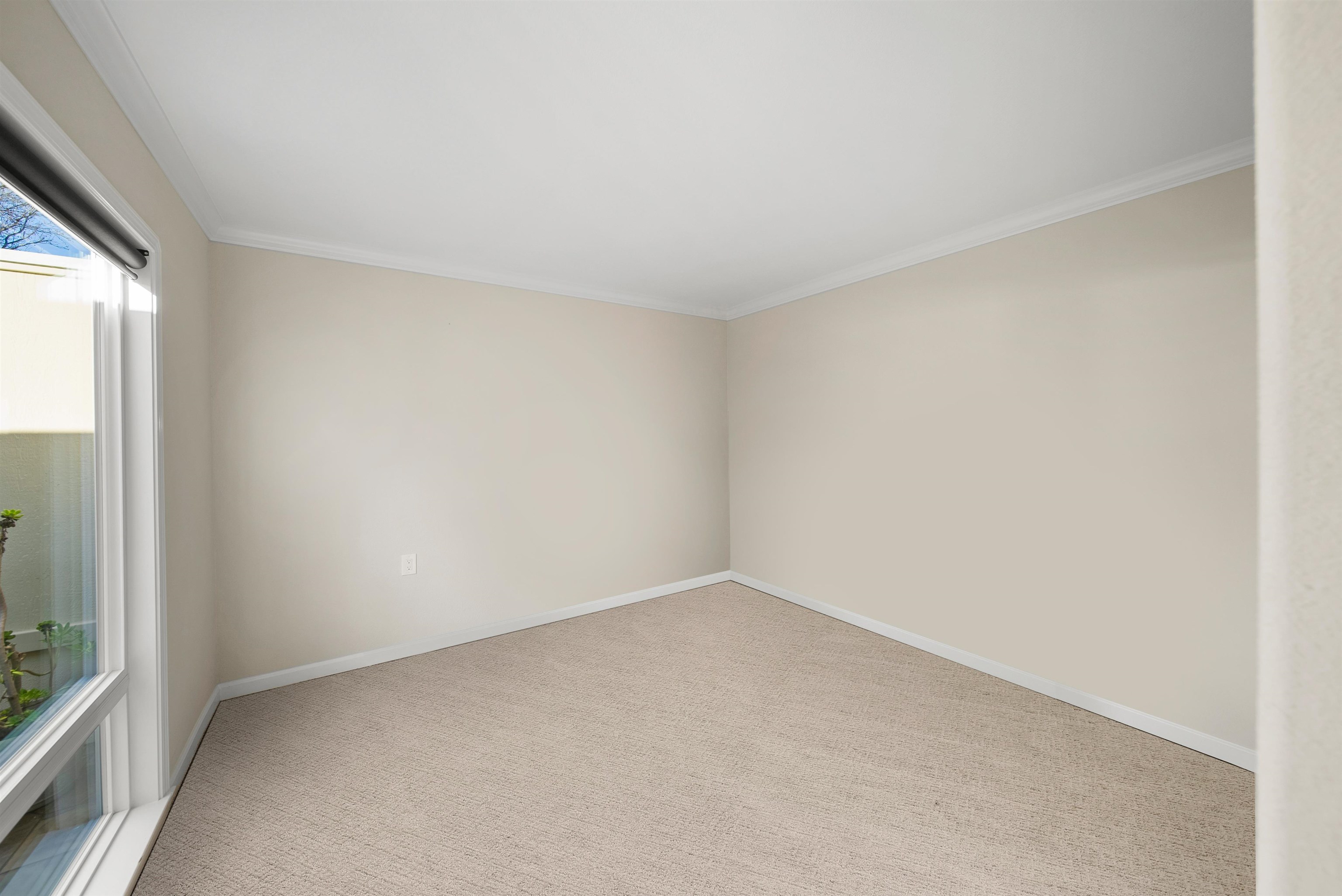 Photo #10: 41120597 Listing: Photo #10