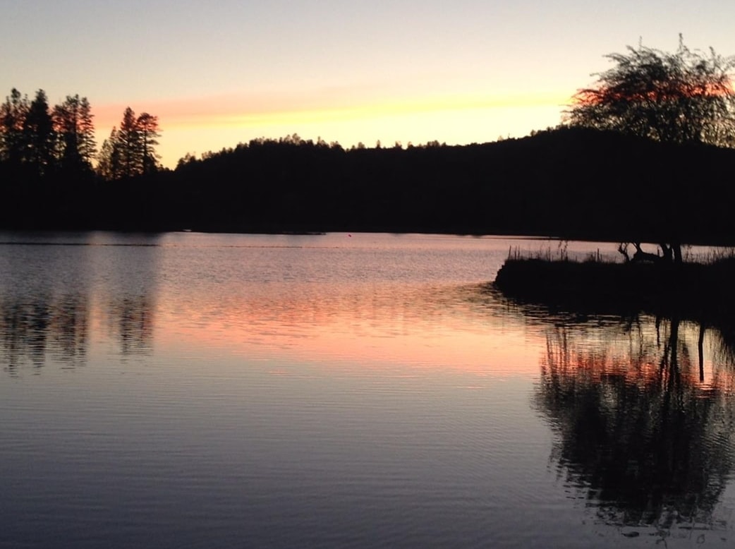 Detail Gallery Image 11 of 22 For 14781 Lakeside Dr, Sonora,  CA 95370 - – Beds | – Baths