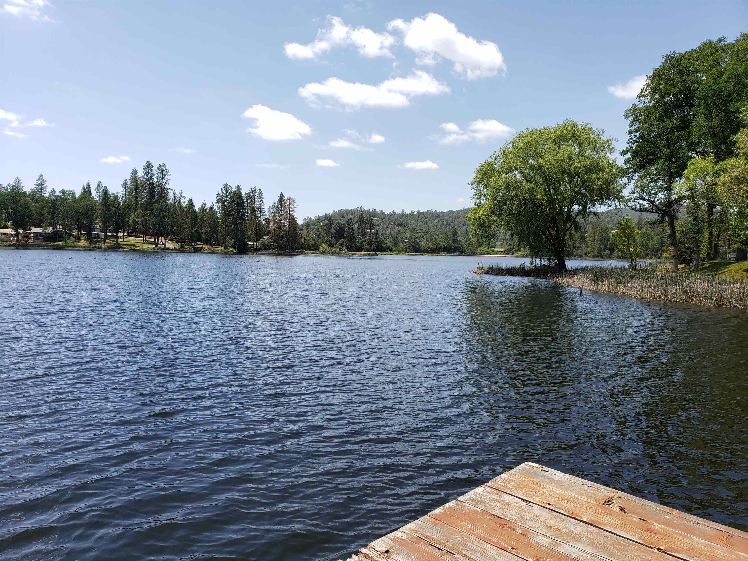 Detail Gallery Image 16 of 22 For 14781 Lakeside Dr, Sonora,  CA 95370 - – Beds | – Baths