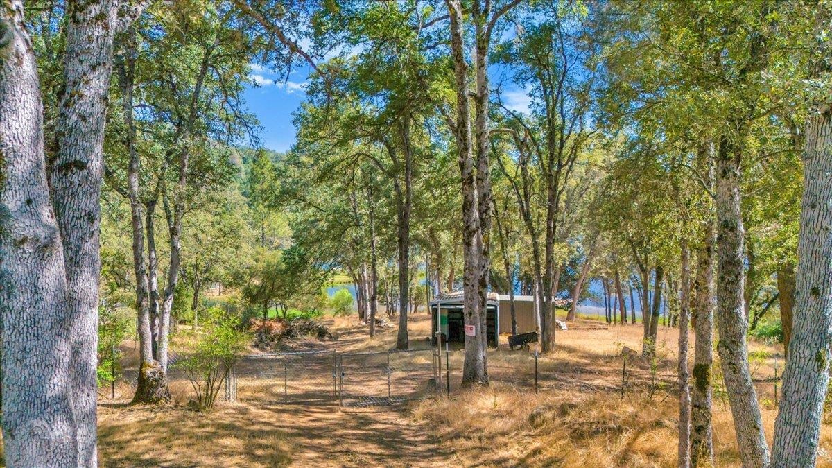 Detail Gallery Image 7 of 22 For 14781 Lakeside Dr, Sonora,  CA 95370 - – Beds | – Baths