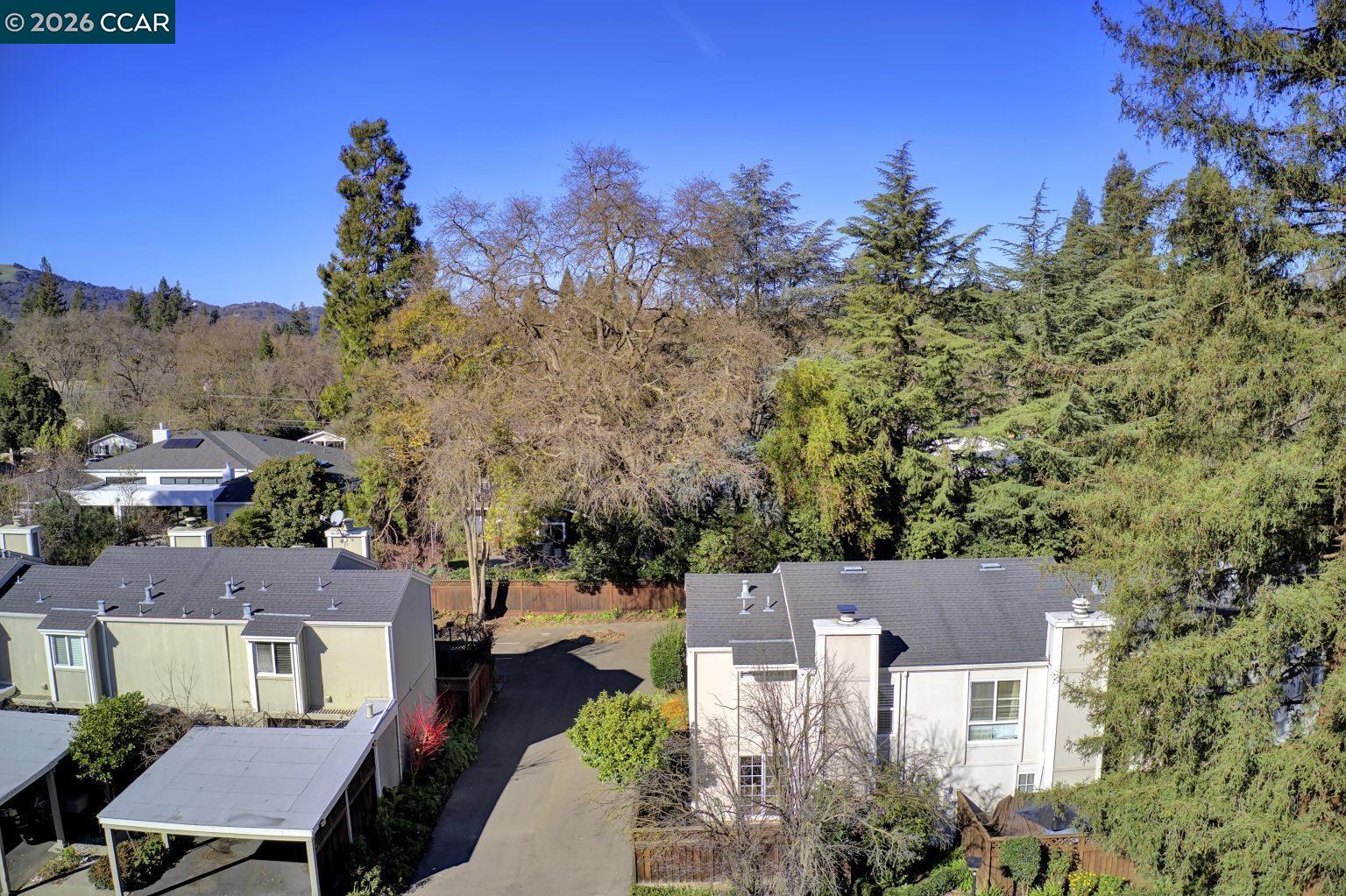 Photo #14: 41120618 Listing: Photo #14