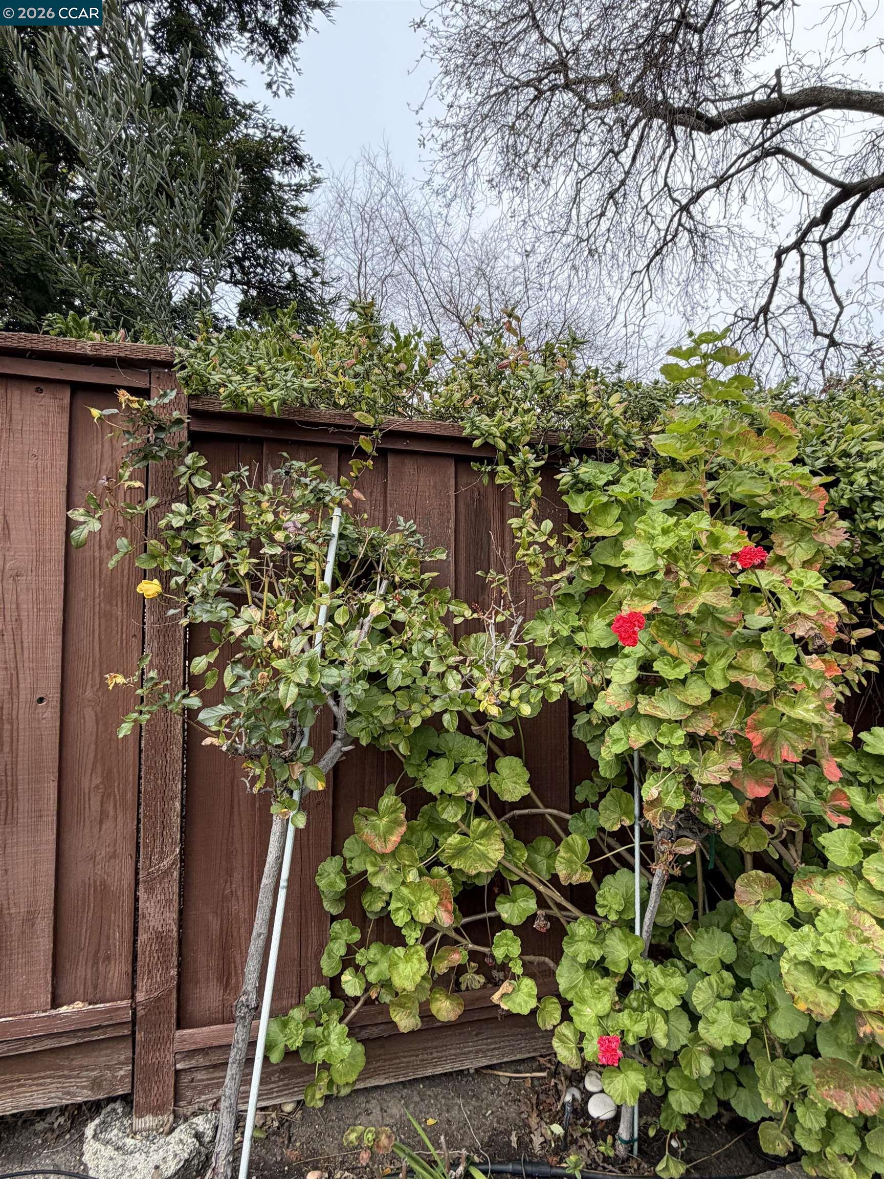 Detail Gallery Image 19 of 39 For 350 Caroni St, Walnut Creek,  CA 94597 - 4 Beds | 3 Baths