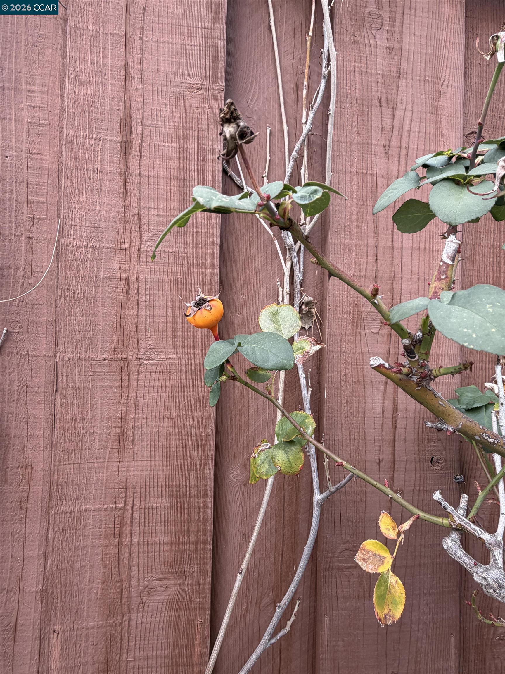 Detail Gallery Image 20 of 39 For 350 Caroni St, Walnut Creek,  CA 94597 - 4 Beds | 3 Baths