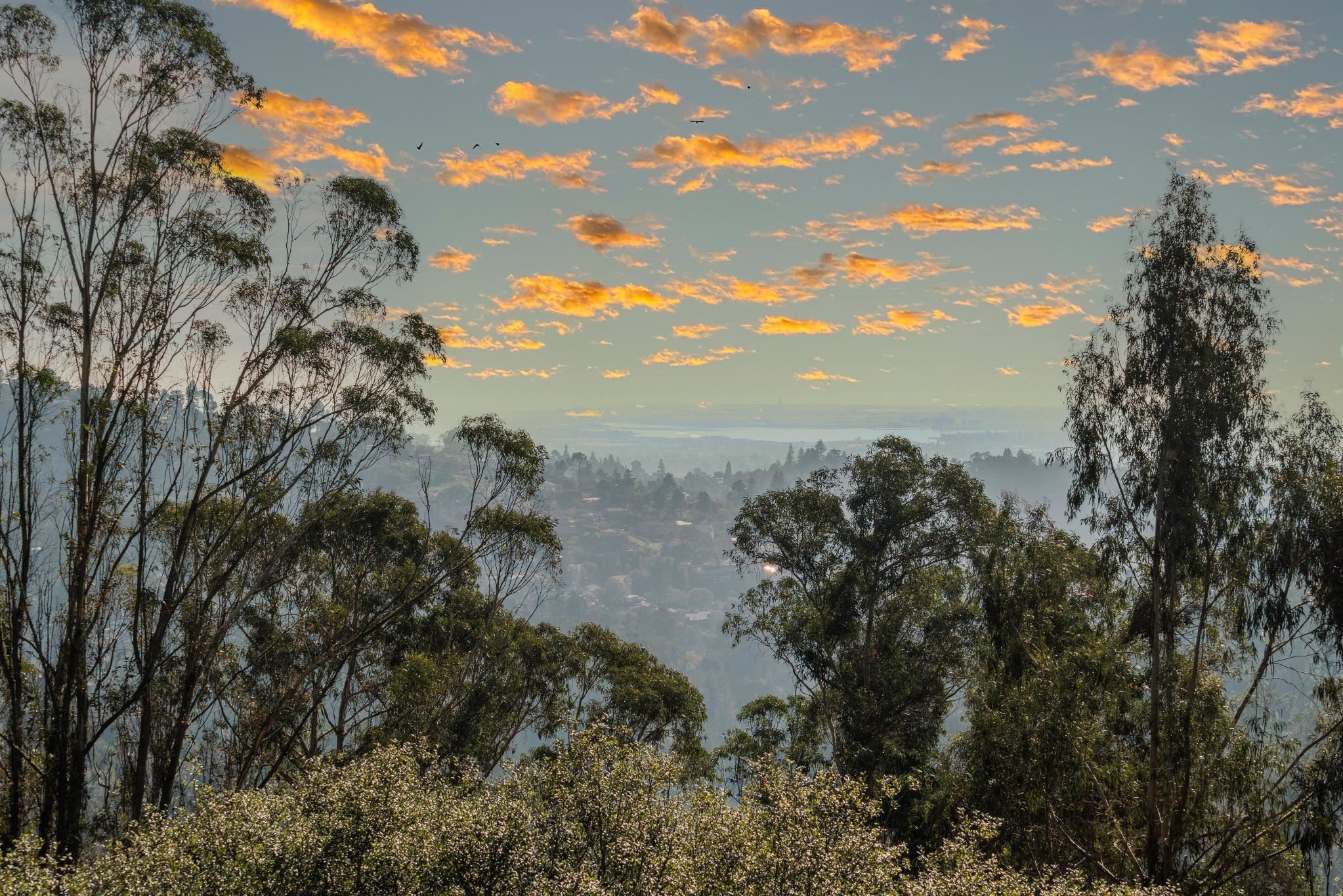 Detail Gallery Image 34 of 60 For 6353 Skyline Blvd, Oakland,  CA 94611 - 4 Beds | 3 Baths