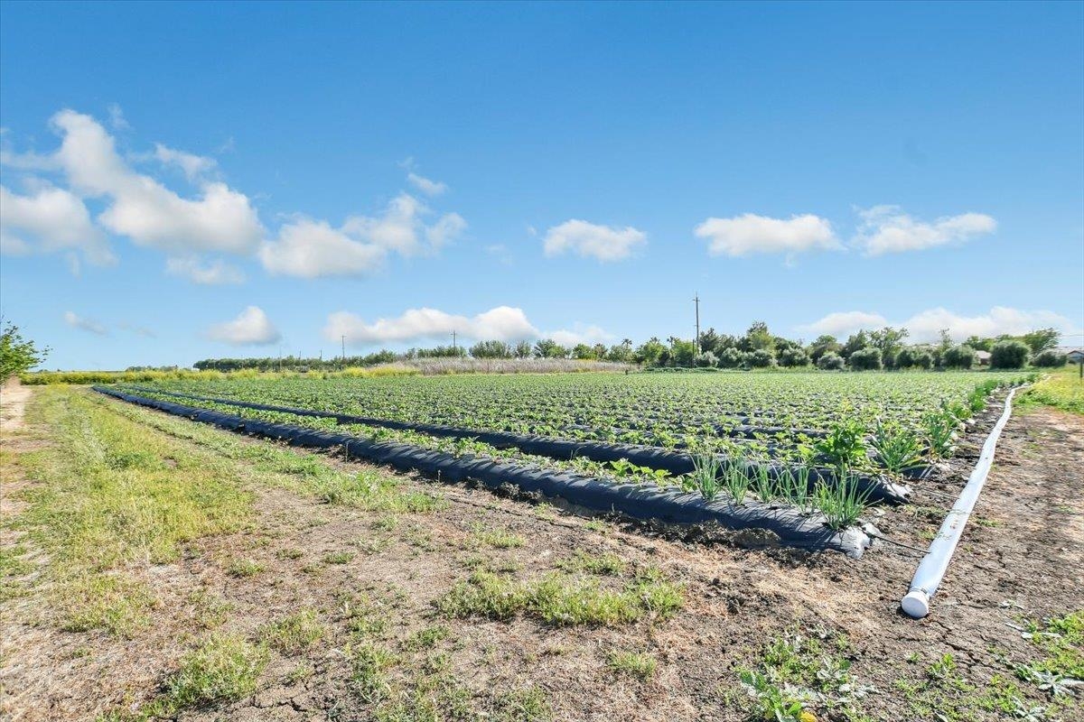 Detail Gallery Image 32 of 47 For , Brentwood,  CA 94513 - – Beds | – Baths