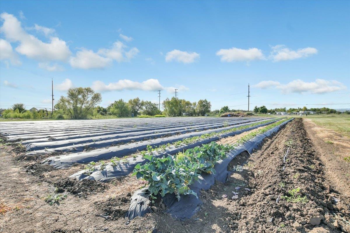 Detail Gallery Image 34 of 47 For , Brentwood,  CA 94513 - – Beds | – Baths