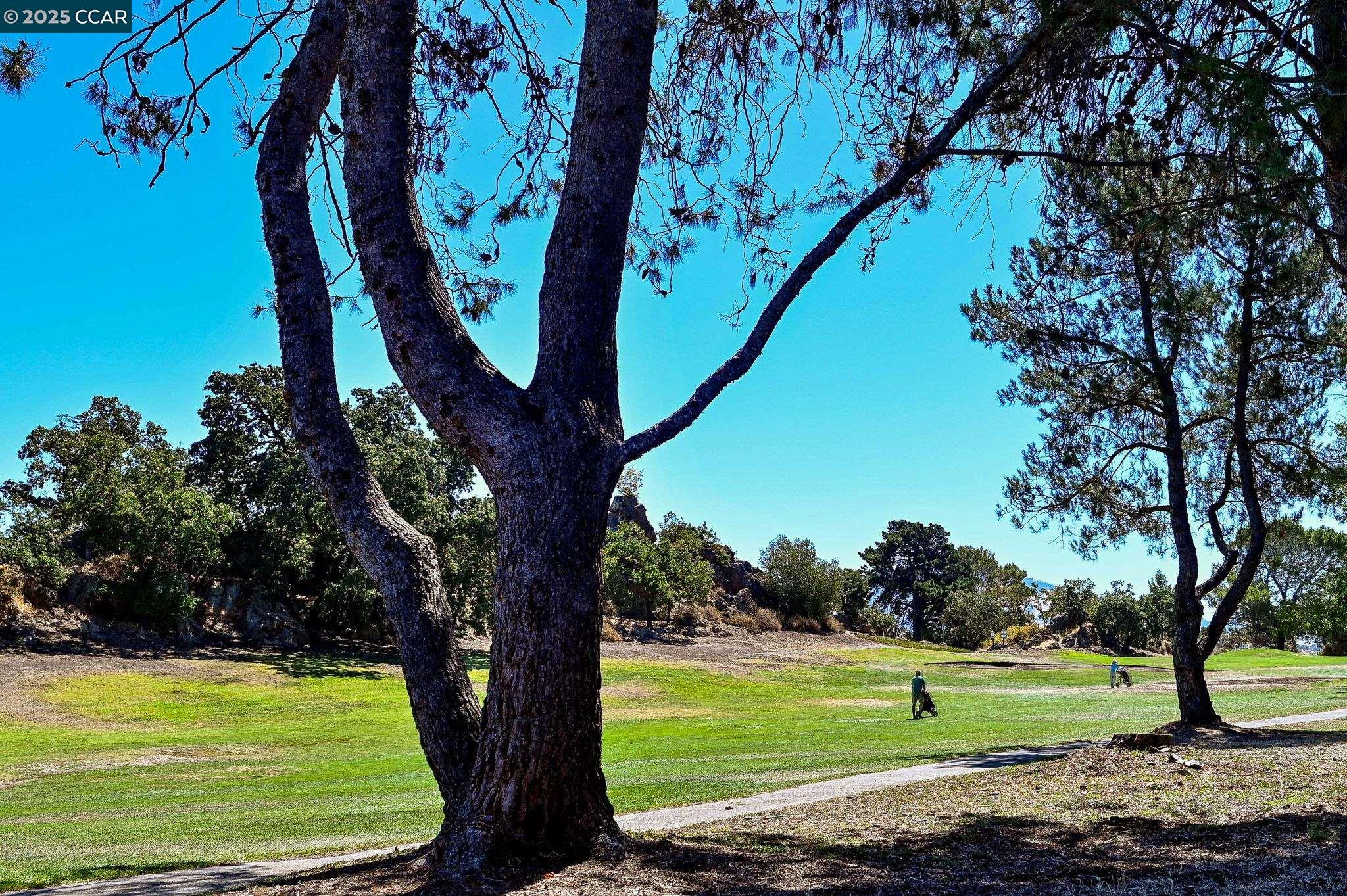 Photo #34: 41120656 Listing: Photo #34