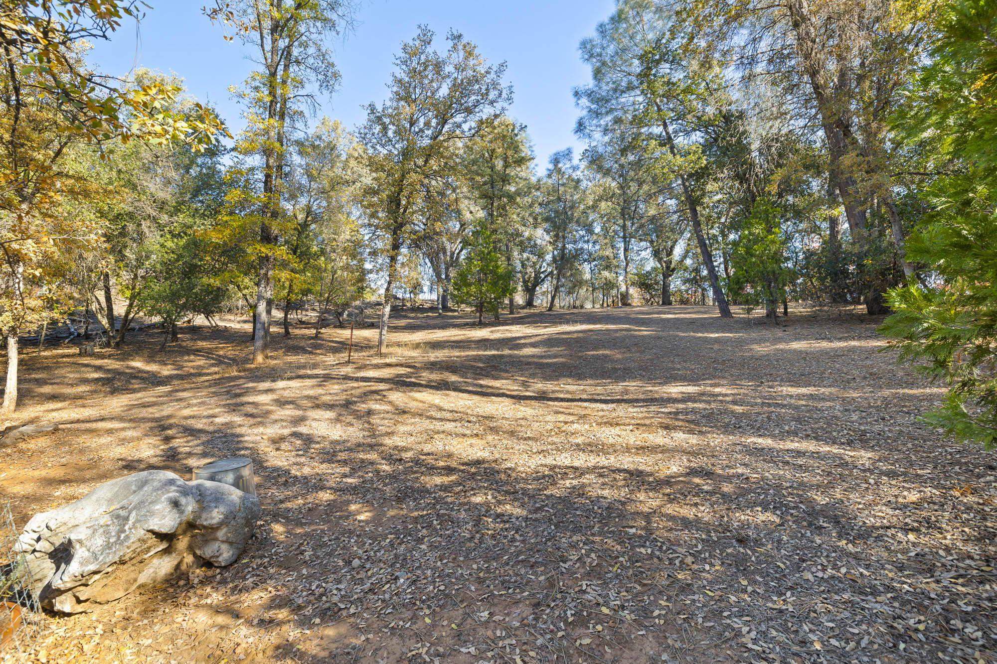 Detail Gallery Image 16 of 42 For 701 Old Bald Mountain Rd., Sonora,  CA 95370 - – Beds | – Baths