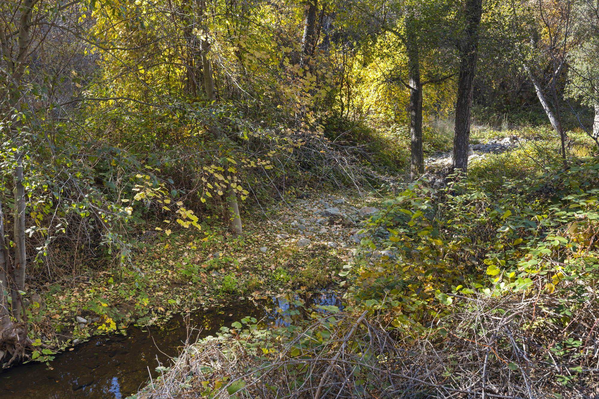 Detail Gallery Image 24 of 42 For 701 Old Bald Mountain Rd., Sonora,  CA 95370 - – Beds | – Baths