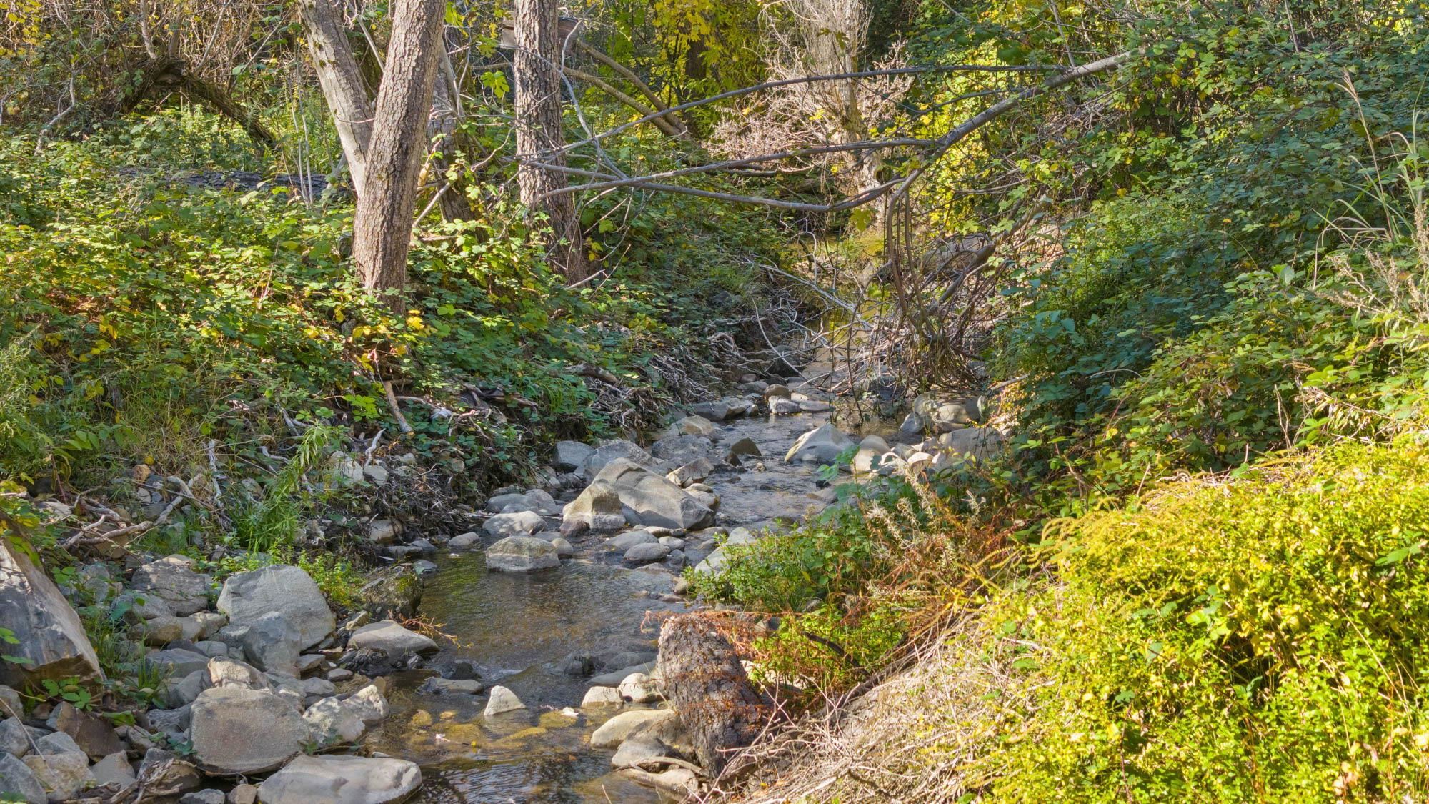 Detail Gallery Image 40 of 42 For 701 Old Bald Mountain Rd., Sonora,  CA 95370 - – Beds | – Baths