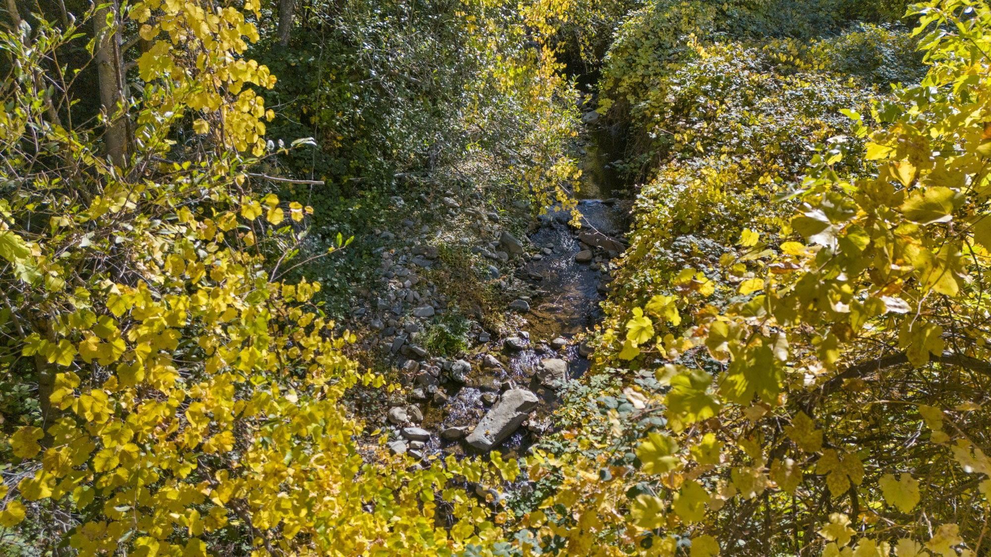 Detail Gallery Image 41 of 42 For 701 Old Bald Mountain Rd., Sonora,  CA 95370 - – Beds | – Baths