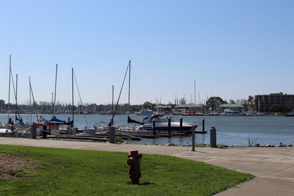 Detail Gallery Image 5 of 8 For 11 Embarcadero  #210, Oakland,  CA 94607 - – Beds | – Baths