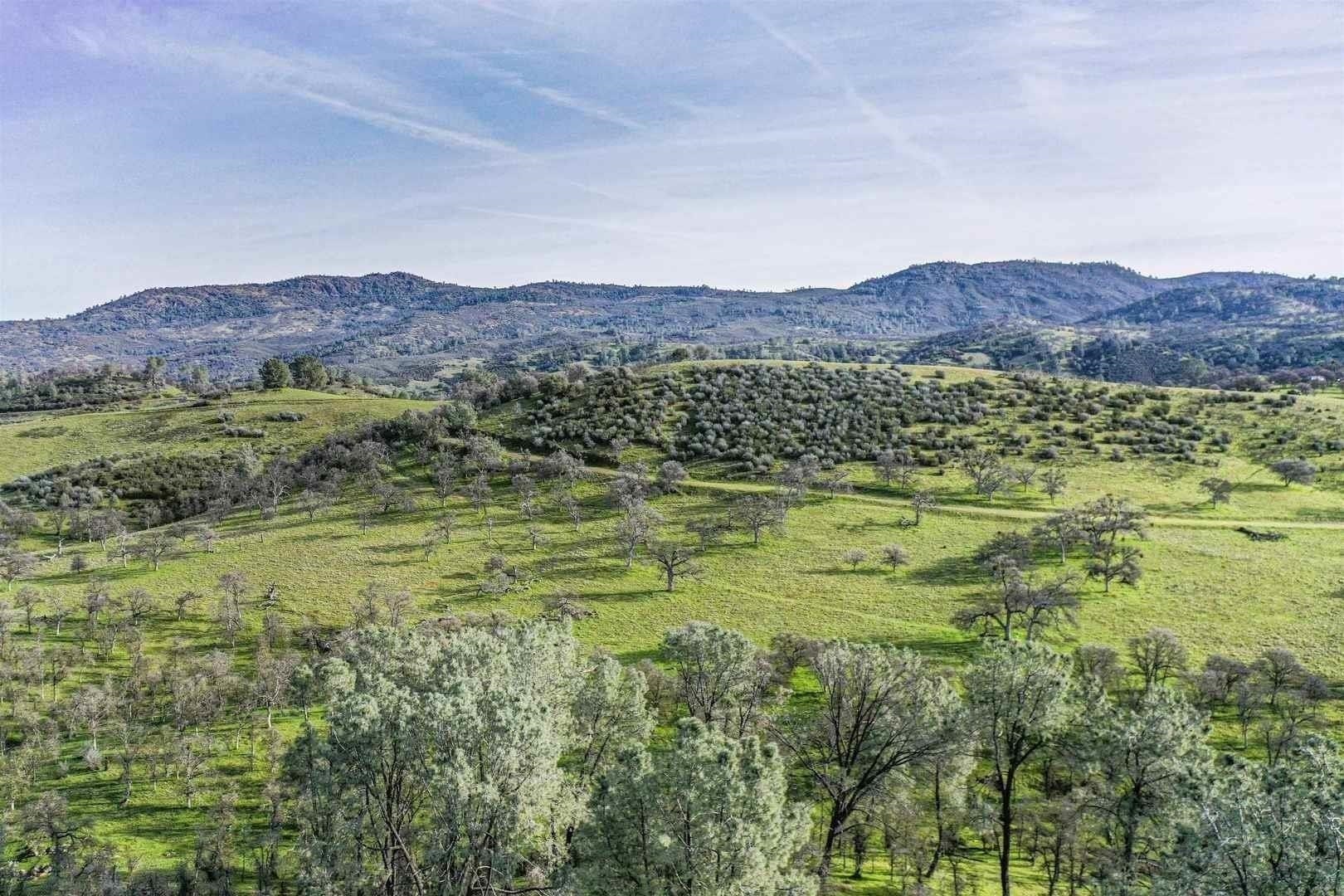 Detail Gallery Image 49 of 60 For 5887 Enramada Dr, La Grange,  CA 95329 - 3 Beds | 2/1 Baths