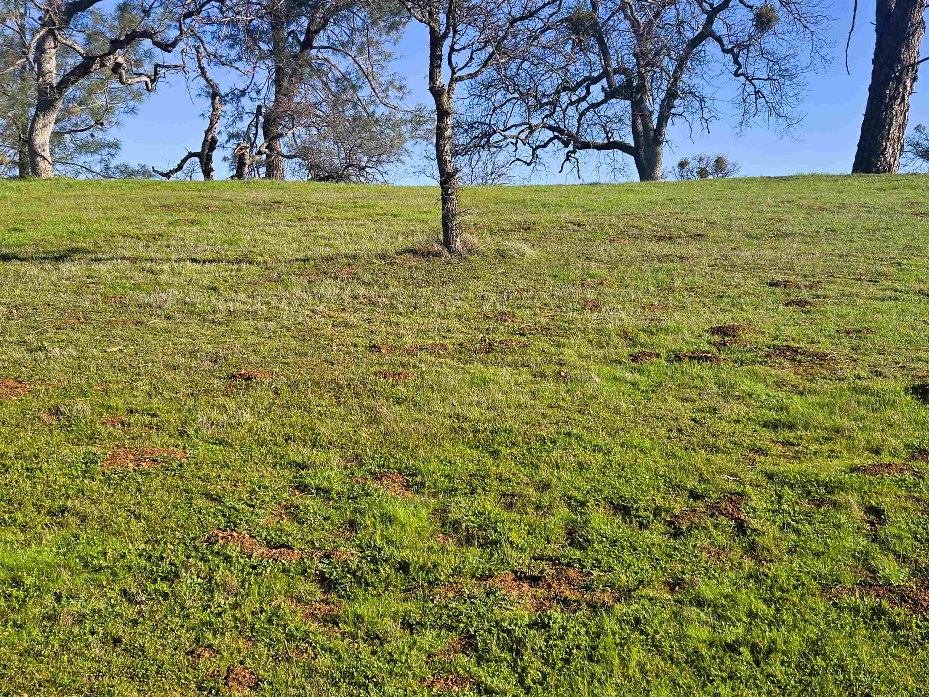 Detail Gallery Image 2 of 8 For 0 Frio Court, La Grange,  CA 95329 - – Beds | – Baths