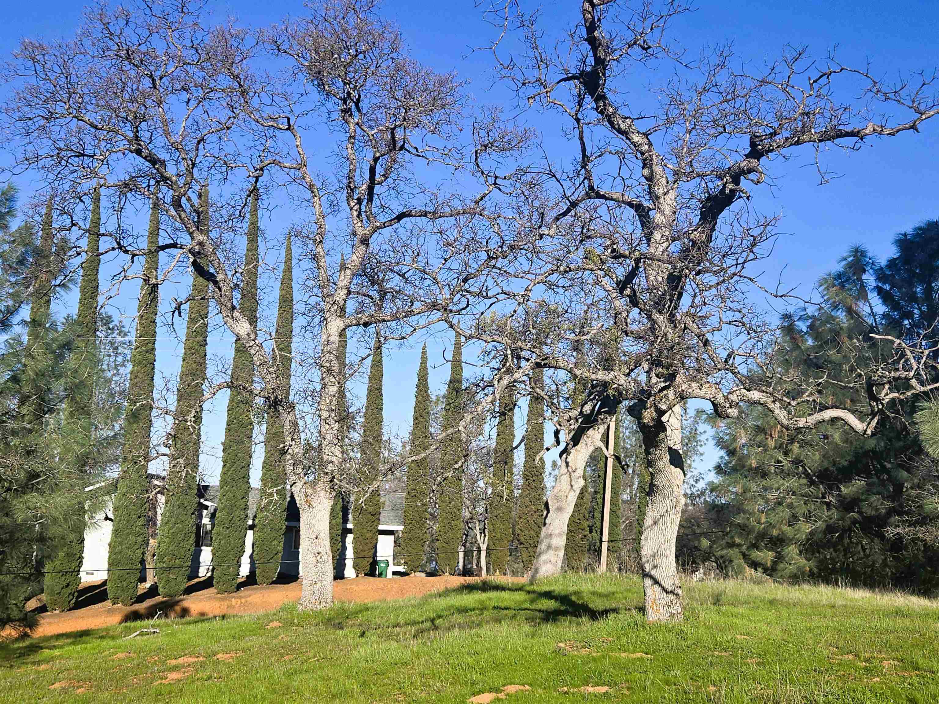 Detail Gallery Image 3 of 8 For 0 Frio Court, La Grange,  CA 95329 - – Beds | – Baths