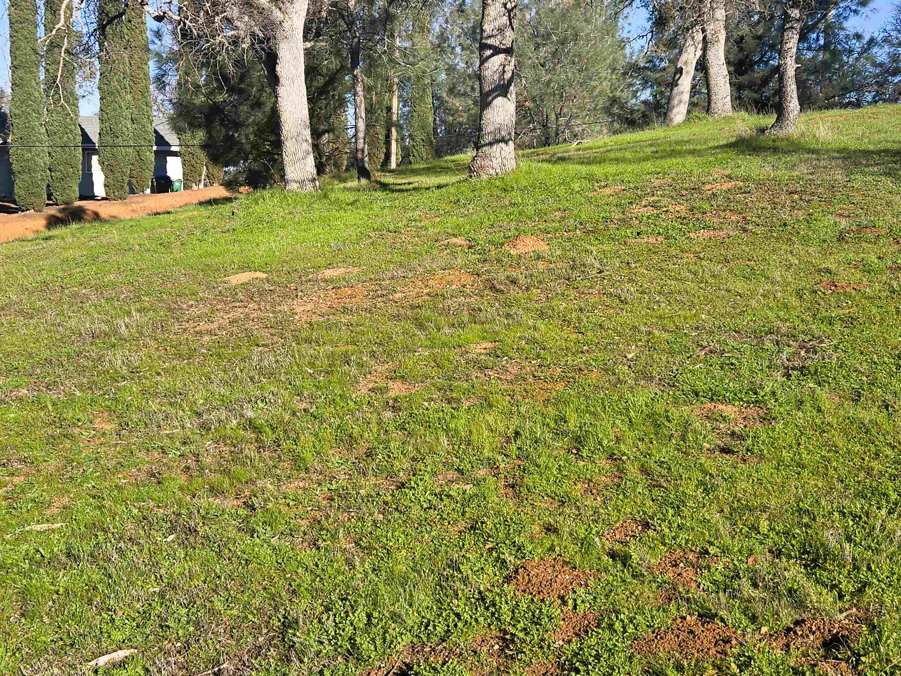 Detail Gallery Image 4 of 8 For 0 Frio Court, La Grange,  CA 95329 - – Beds | – Baths