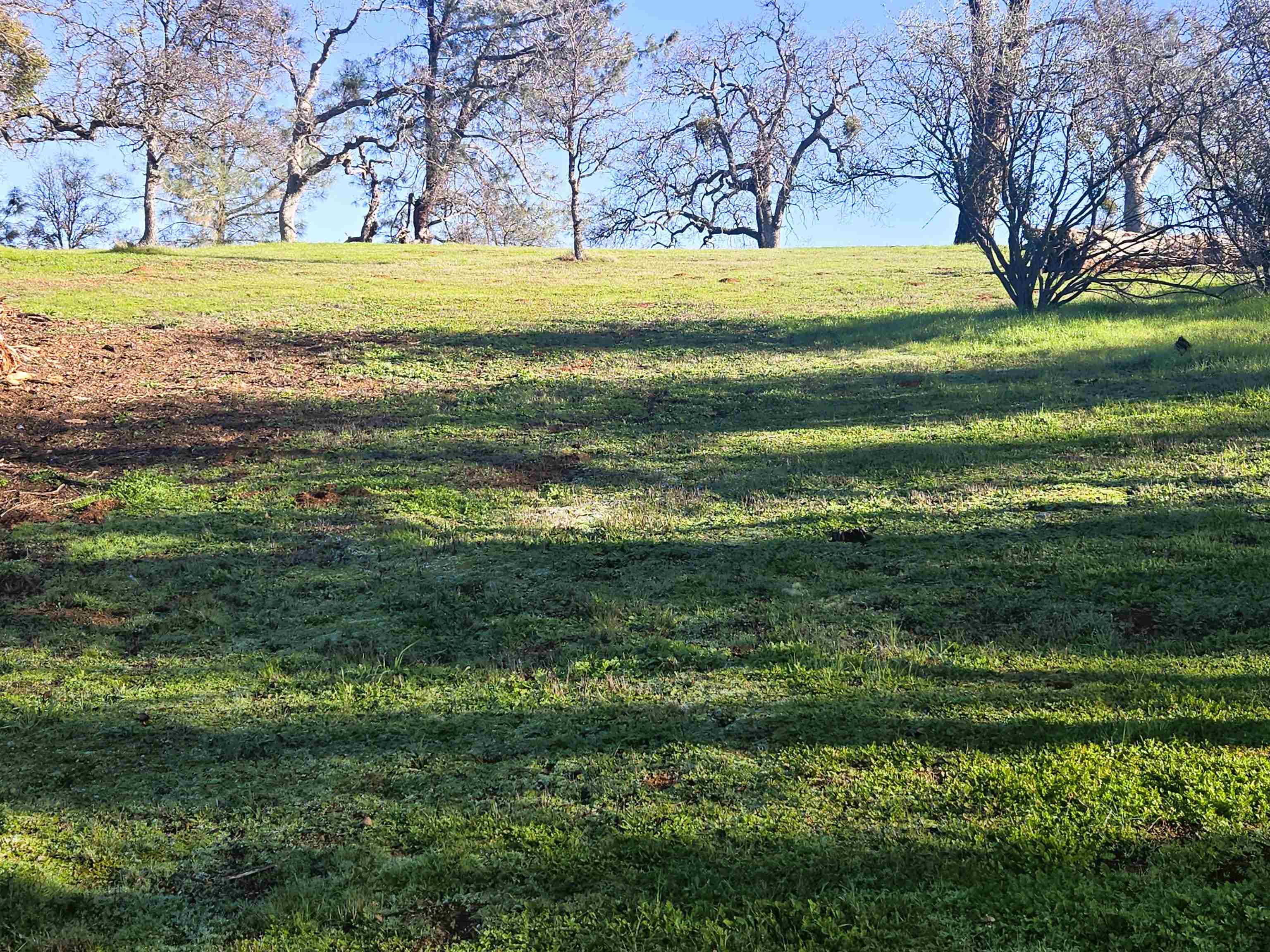 Detail Gallery Image 5 of 8 For 0 Frio Court, La Grange,  CA 95329 - – Beds | – Baths