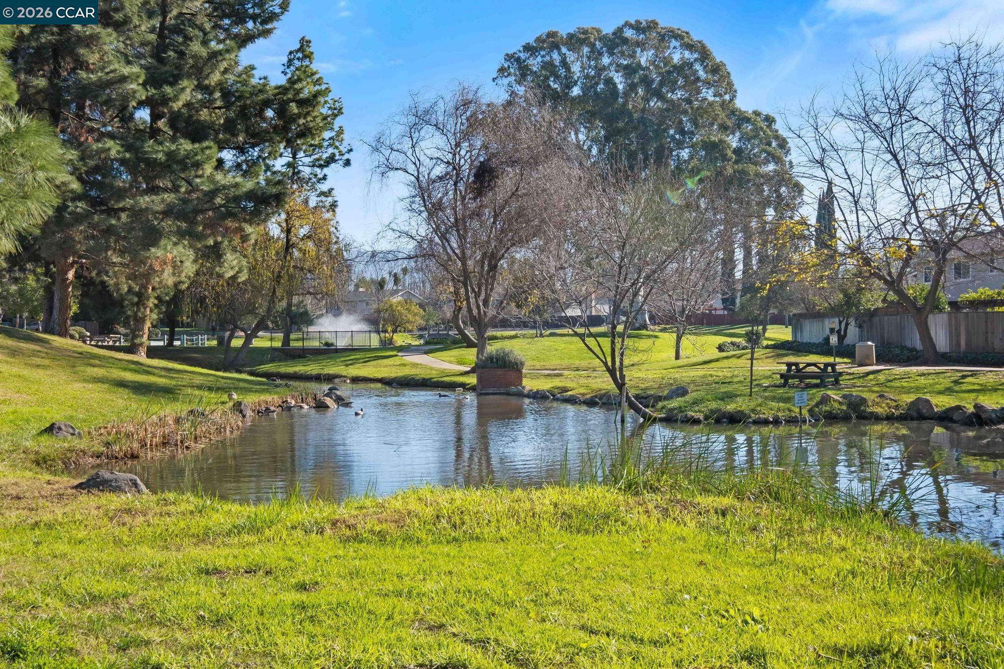 Photo #26: 41120697 Listing: Photo #26