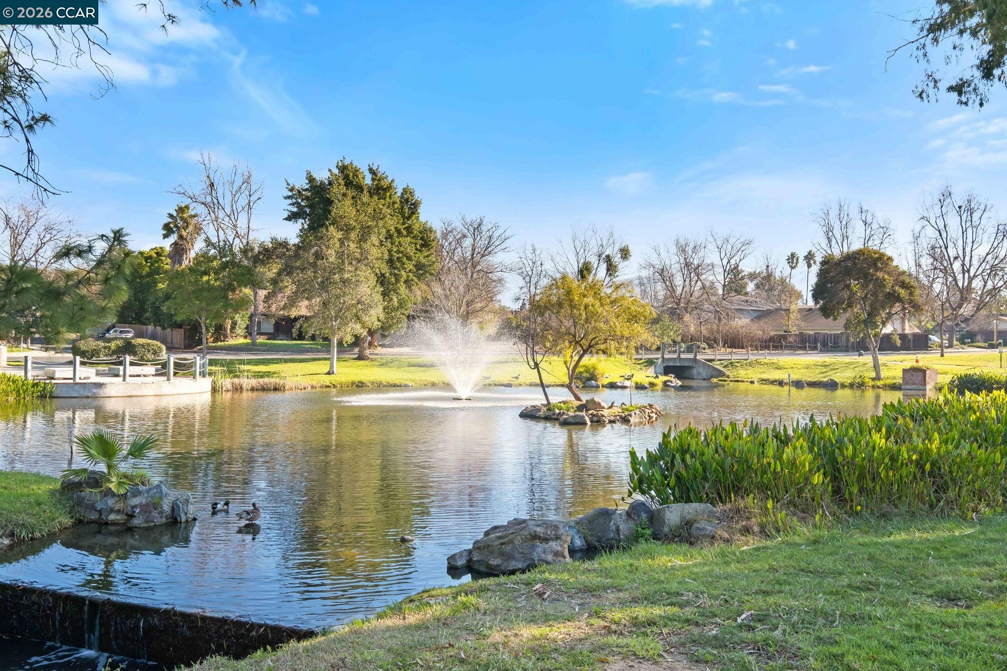 Photo #27: 41120697 Listing: Photo #27