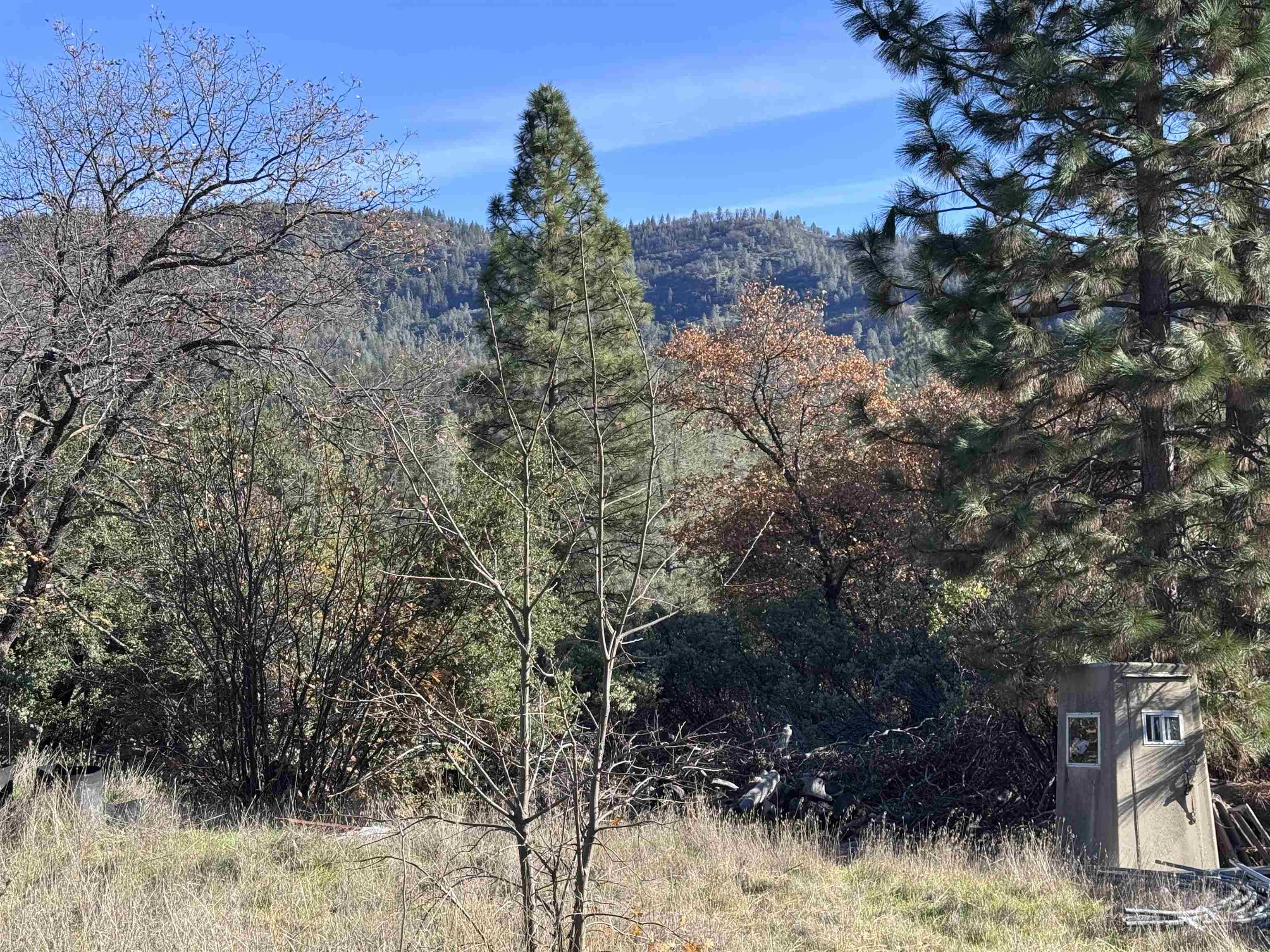 Front Image Thumbnail for EB41120699