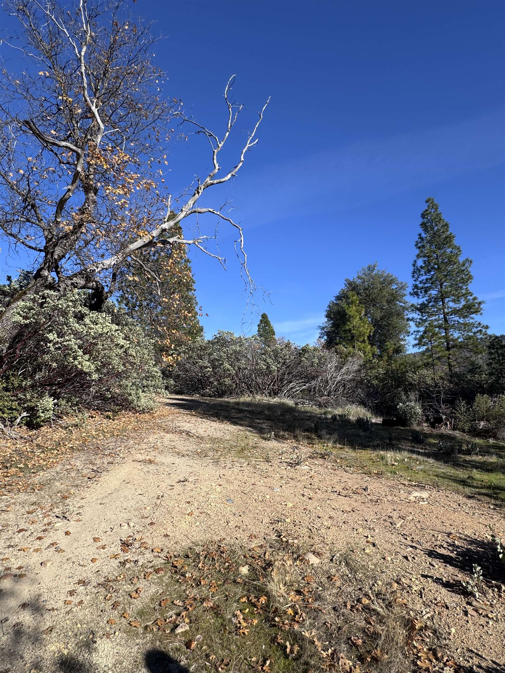 Detail Gallery Image 4 of 5 For 28560 Italian Bar Rd, Twain Harte,  CA 95383 - – Beds | – Baths