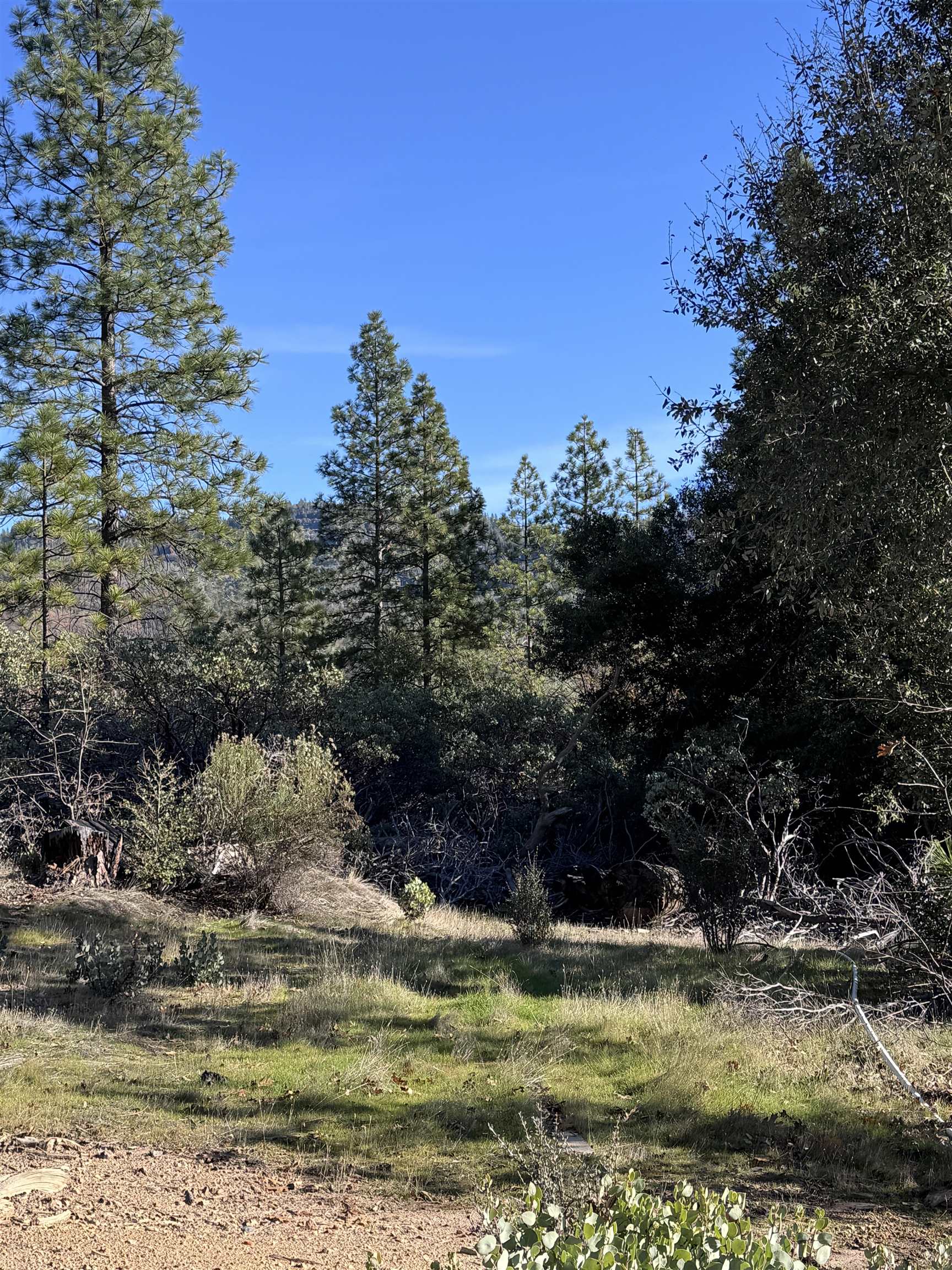 Detail Gallery Image 5 of 5 For 28560 Italian Bar Rd, Twain Harte,  CA 95383 - – Beds | – Baths