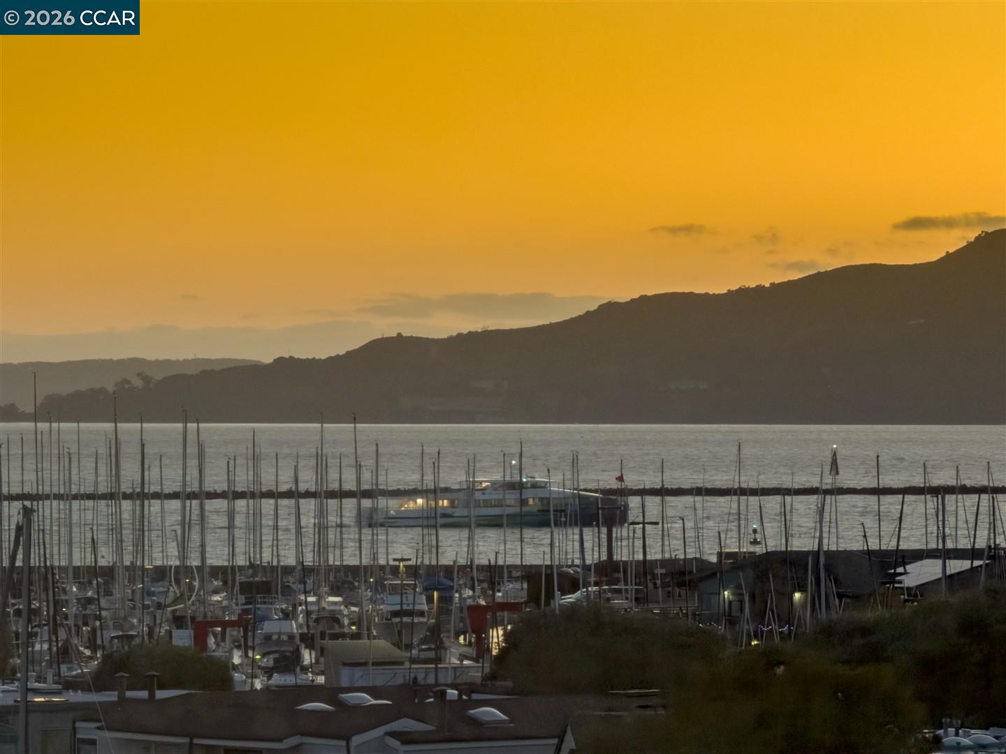 Photo #19: 41120706 Listing: Photo #19