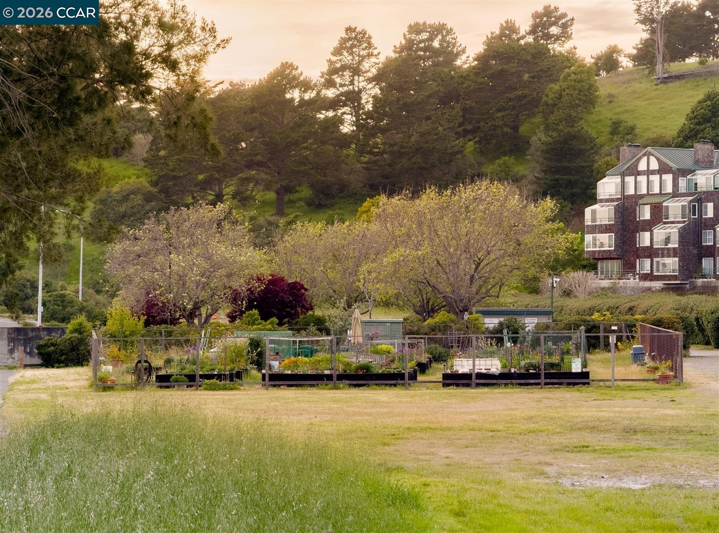 Photo #45: 41120706 Listing: Photo #45