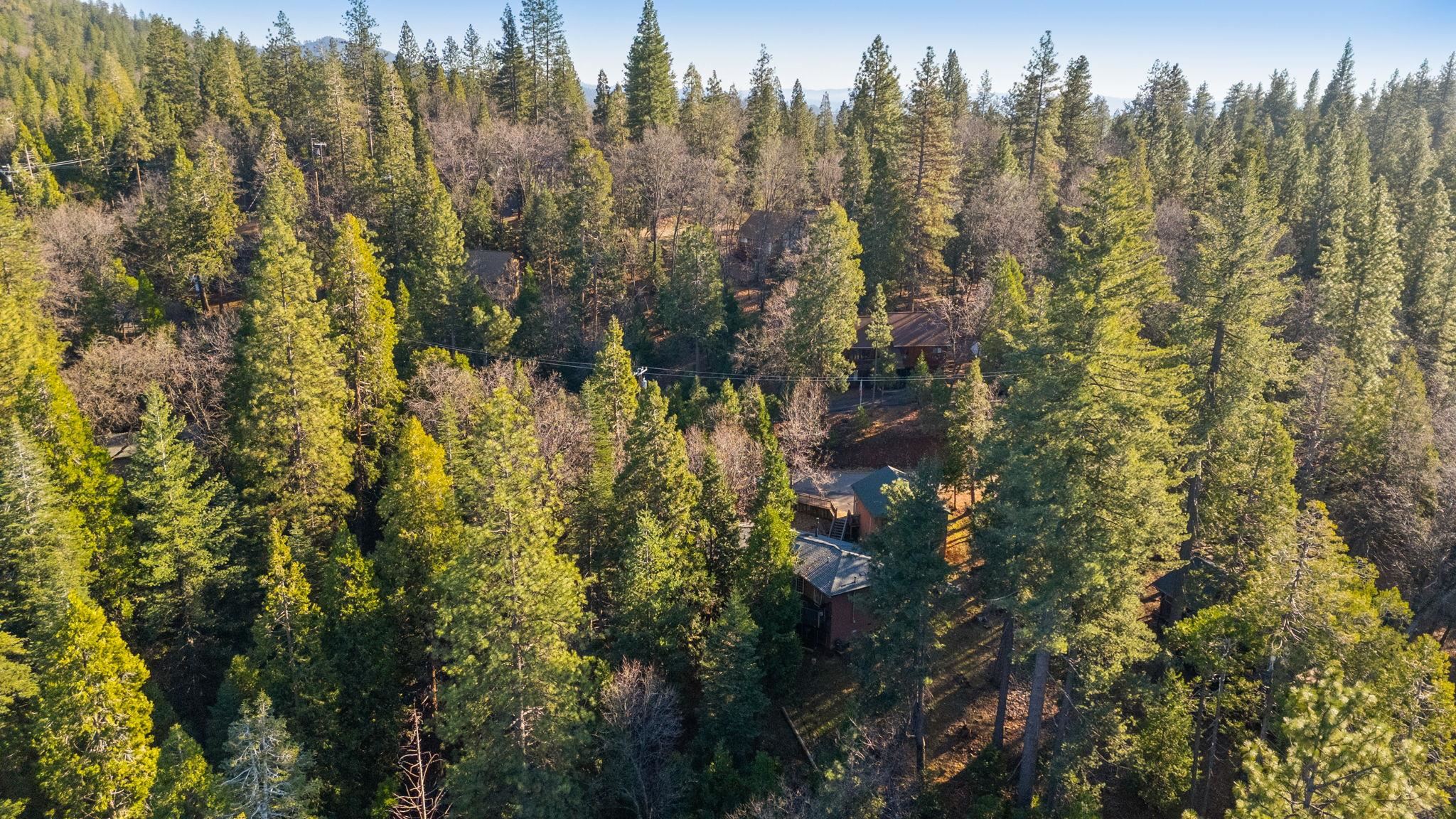 Detail Gallery Image 34 of 37 For 24248 Martingale Ln, Sonora,  CA 95370 - 3 Beds | 3 Baths