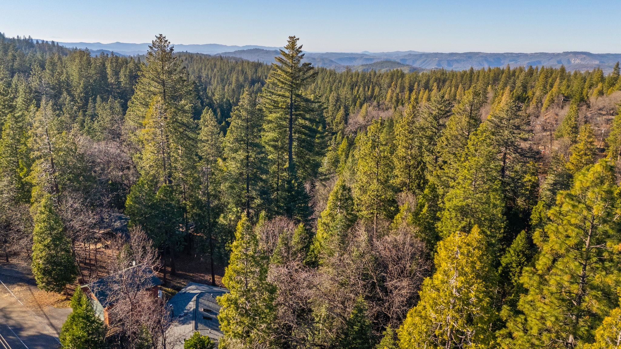 Detail Gallery Image 36 of 37 For 24248 Martingale Ln, Sonora,  CA 95370 - 3 Beds | 3 Baths