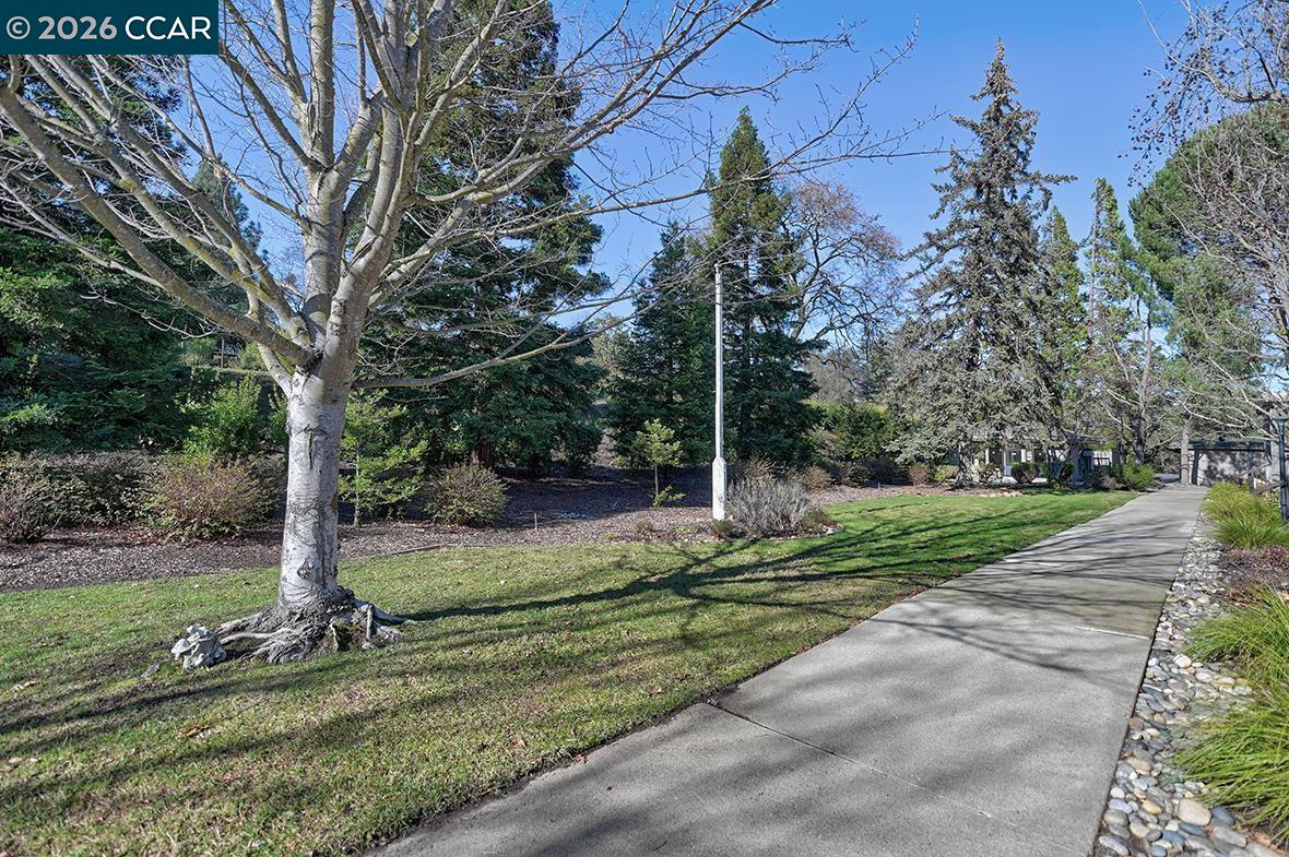 Photo #30: 41120742 Listing: Photo #30