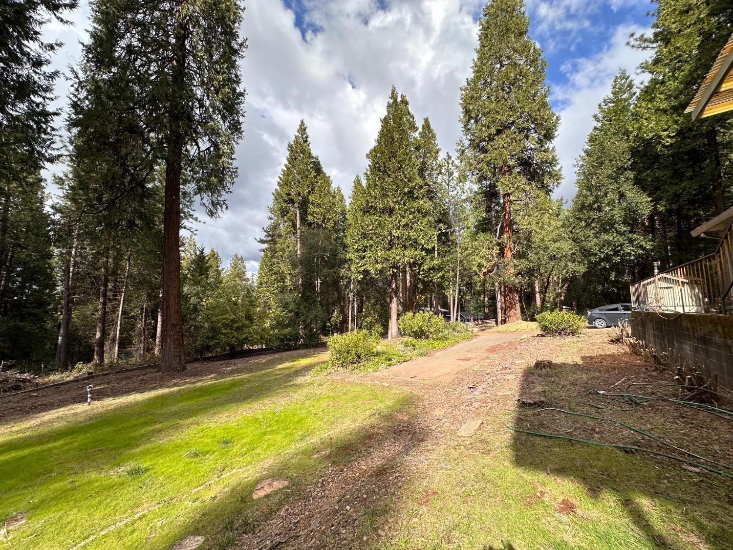 Detail Gallery Image 21 of 42 For 19071 W. Allan, Volcano,  CA 95689 - 3 Beds | 1/1 Baths