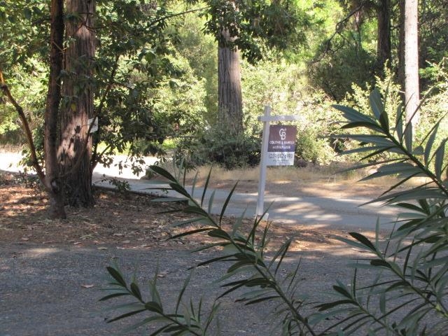 Detail Gallery Image 25 of 42 For 19071 W. Allan, Volcano,  CA 95689 - 3 Beds | 1/1 Baths