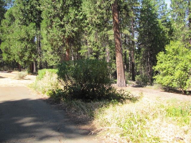 Detail Gallery Image 36 of 42 For 19071 W. Allan, Volcano,  CA 95689 - 3 Beds | 1/1 Baths