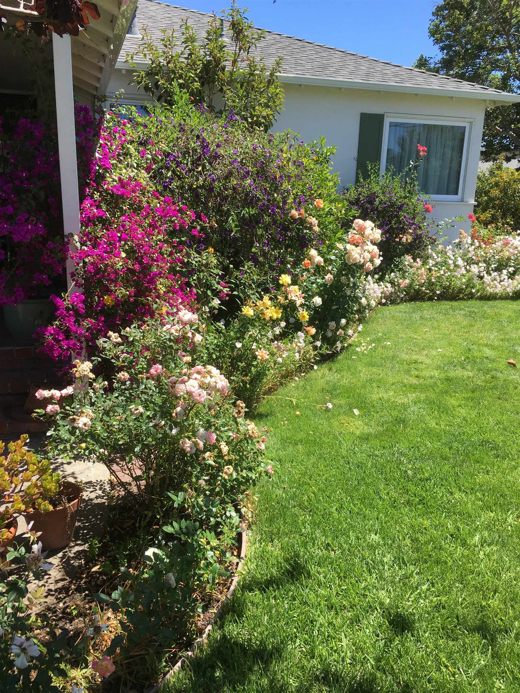 Detail Gallery Image 49 of 50 For 1202 Lillian Ave, San Leandro,  CA 94578 - 3 Beds | 2 Baths