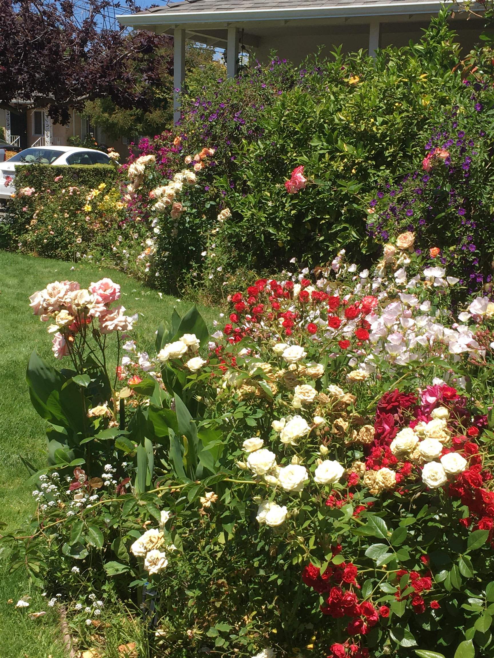 Detail Gallery Image 50 of 50 For 1202 Lillian Ave, San Leandro,  CA 94578 - 3 Beds | 2 Baths