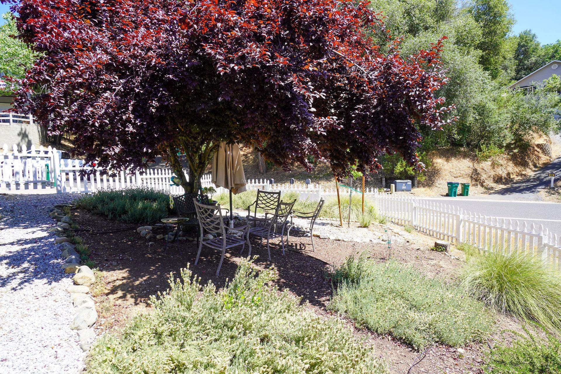 Detail Gallery Image 22 of 22 For 471 Arbona Cir, Sonora,  CA 95370 - 3 Beds | 2 Baths