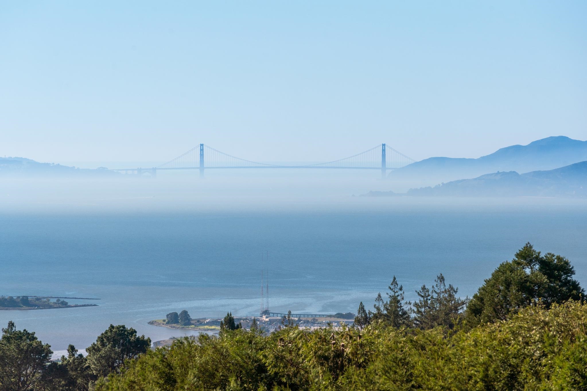 Detail Gallery Image 47 of 51 For 61 Cowper Ave, Kensington,  CA 94707 - 4 Beds | 2/1 Baths