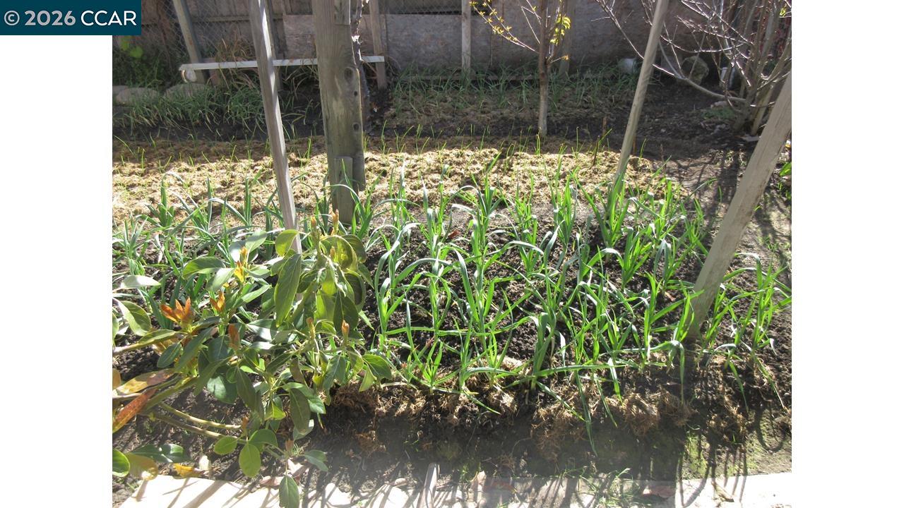 Detail Gallery Image 16 of 18 For 2106 Alfreda Blvd, San Pablo,  CA 94806 - 3 Beds | 1/1 Baths