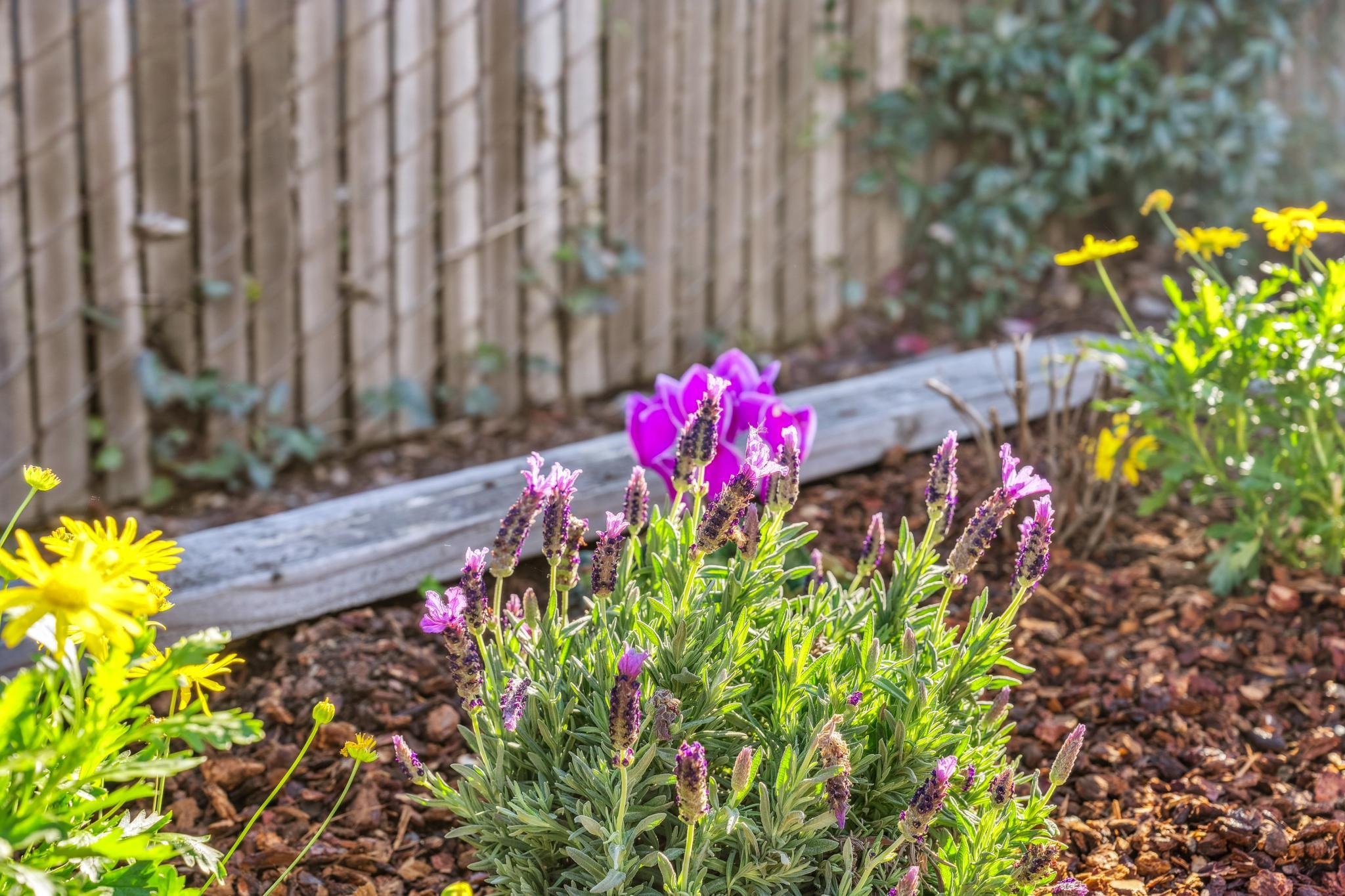 Detail Gallery Image 51 of 60 For 653 55th St, Oakland,  CA 94609 - 3 Beds | 1 Baths