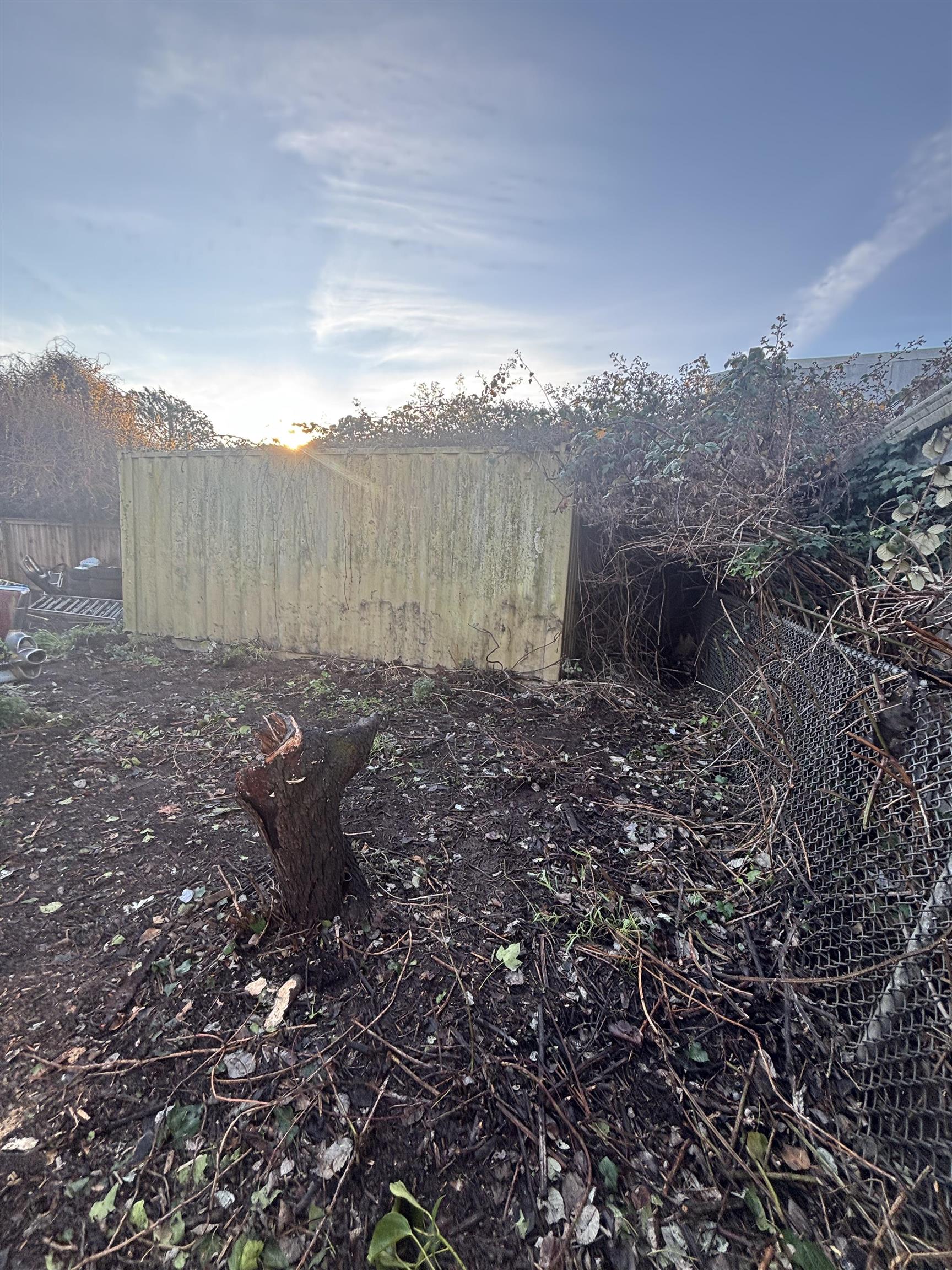 Detail Gallery Image 8 of 9 For 2414 5th St, Berkeley,  CA 94710 - 2 Beds | 1 Baths