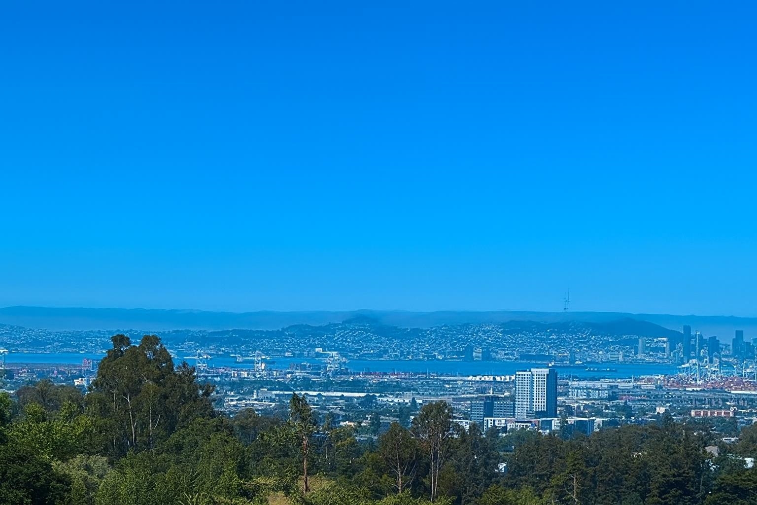 Detail Gallery Image 6 of 24 For 82 Wilding Ln, Oakland,  CA 94611 - – Beds | – Baths