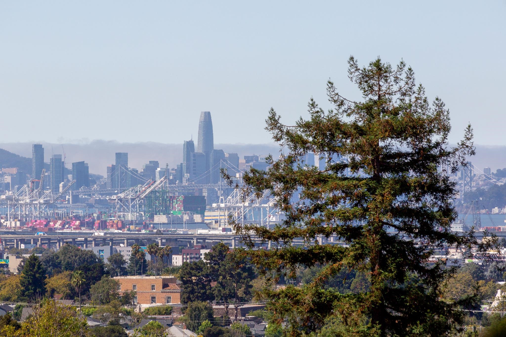 Photo #9: 41120818 Listing: Photo #9