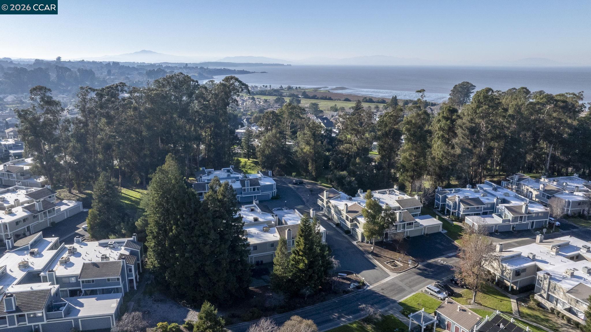 Photo #54: 41120820 Listing: Photo #54