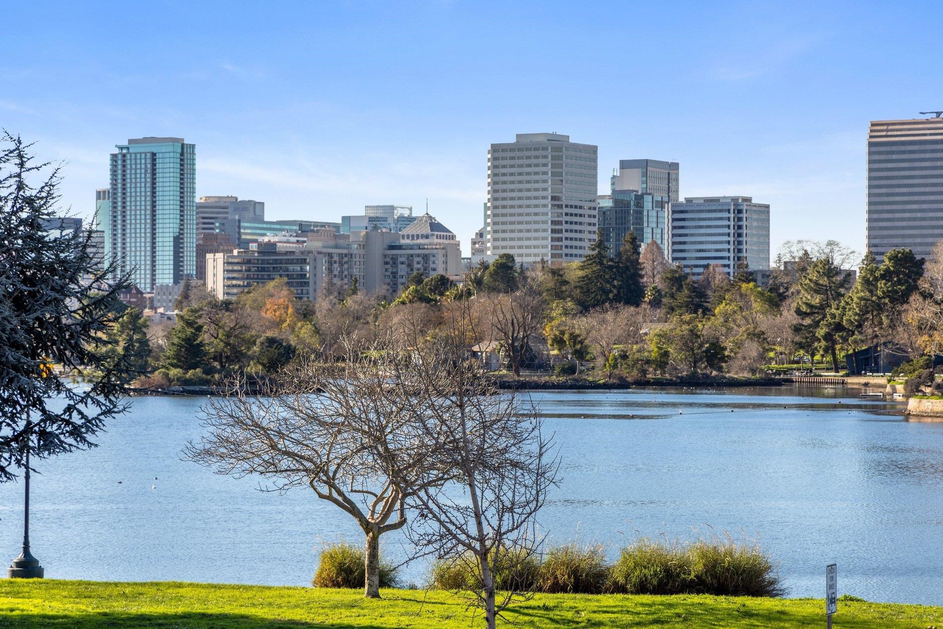 Photo #13: 41120837 Listing: Photo #13