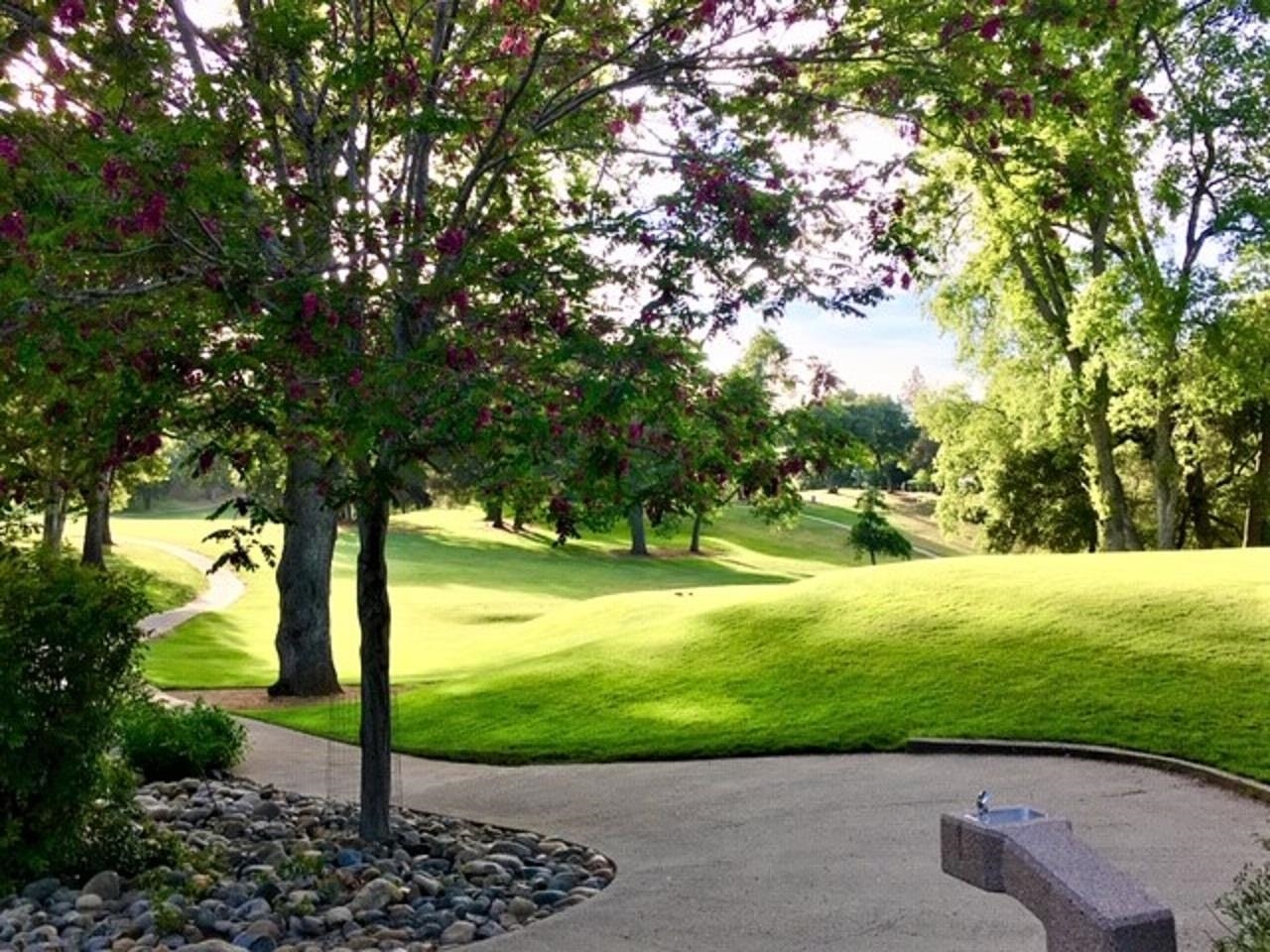 Detail Gallery Image 13 of 37 For 20782 Buttercup Circle, Groveland,  CA 95321-0000 - – Beds | – Baths