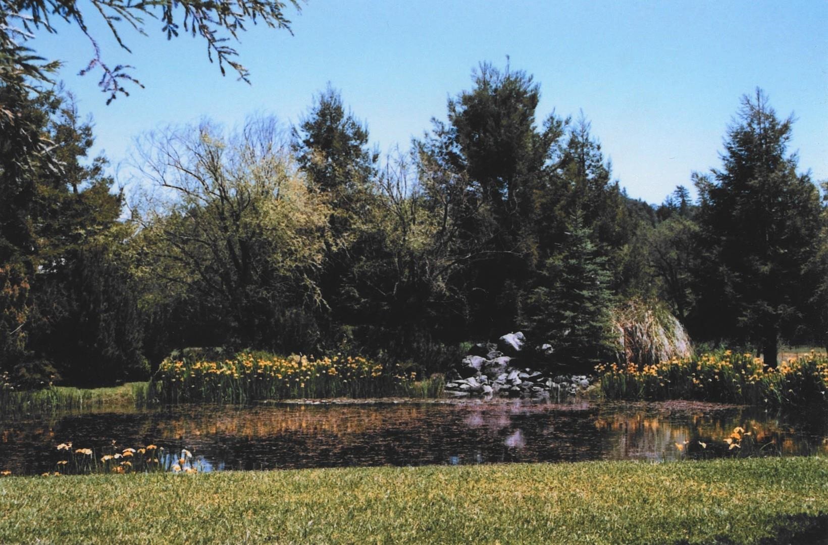 Detail Gallery Image 2 of 30 For 4001 Branscomb Rd, Laytonville,  CA 95454 - 2 Beds | 2 Baths